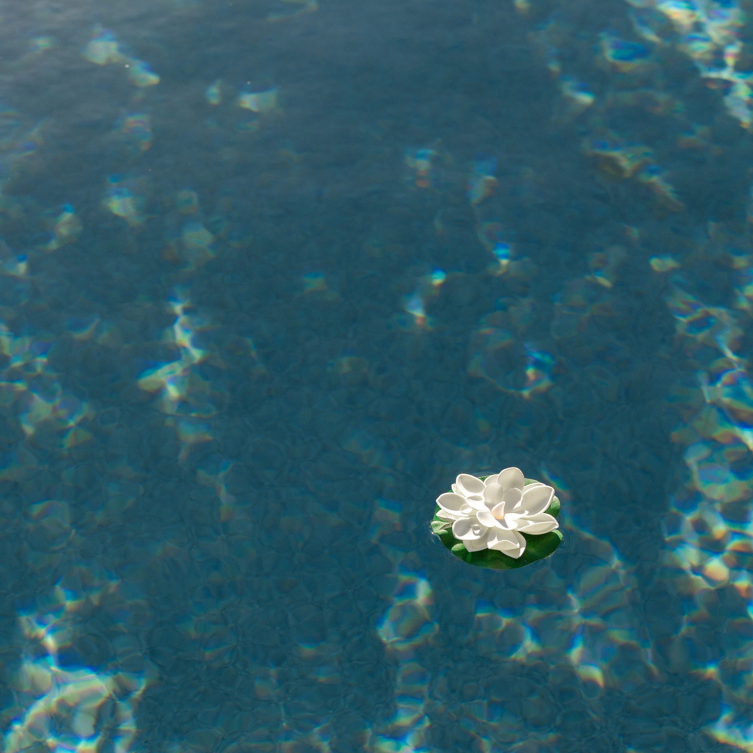 Wedding photographer Michigan. Anastasia Post: Wedding and Editorial Photography