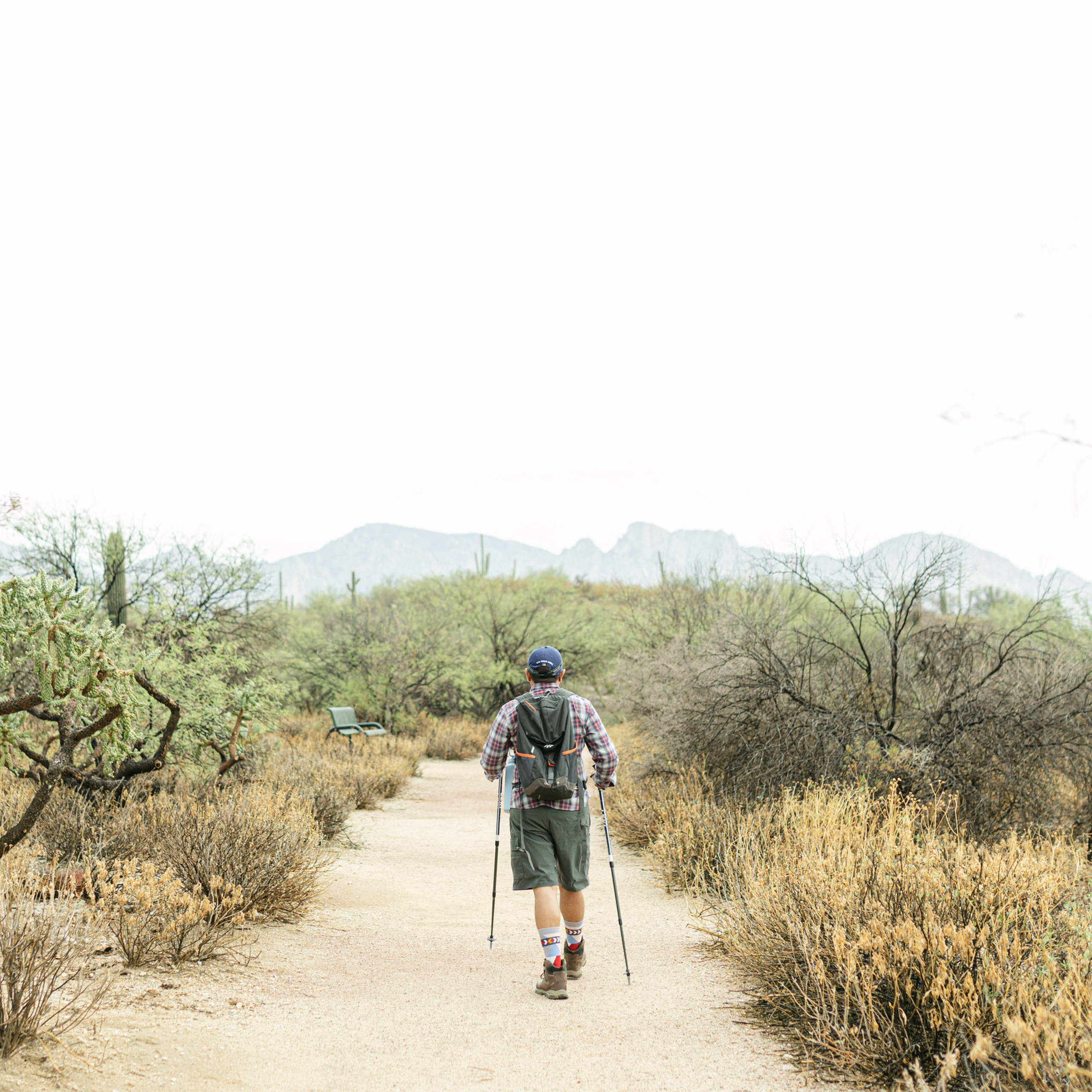 Wedding photographer Michigan. Anastasia Post: Wedding and Editorial Photography