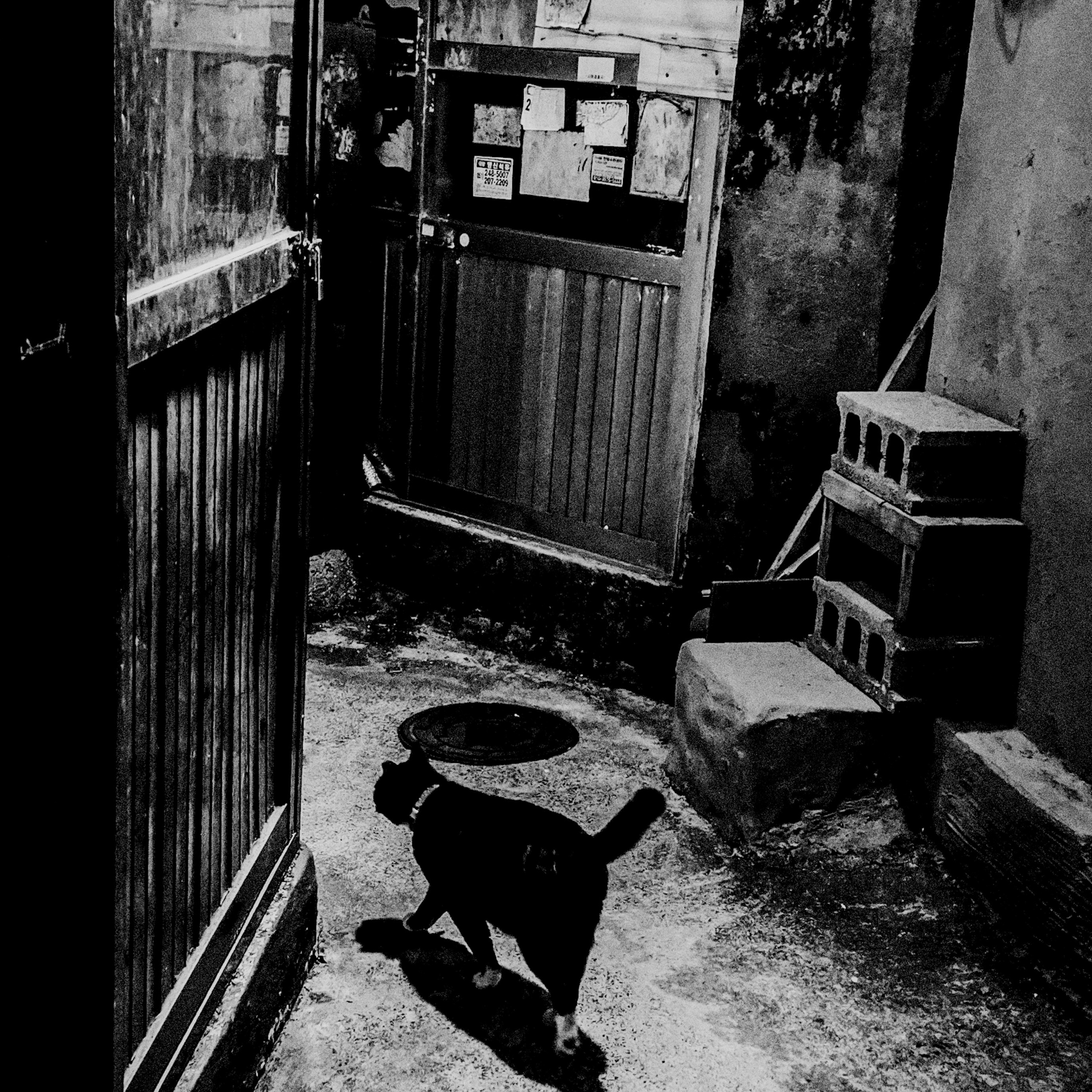 News. TAEYOUNG KANG | Fine Art Photographer