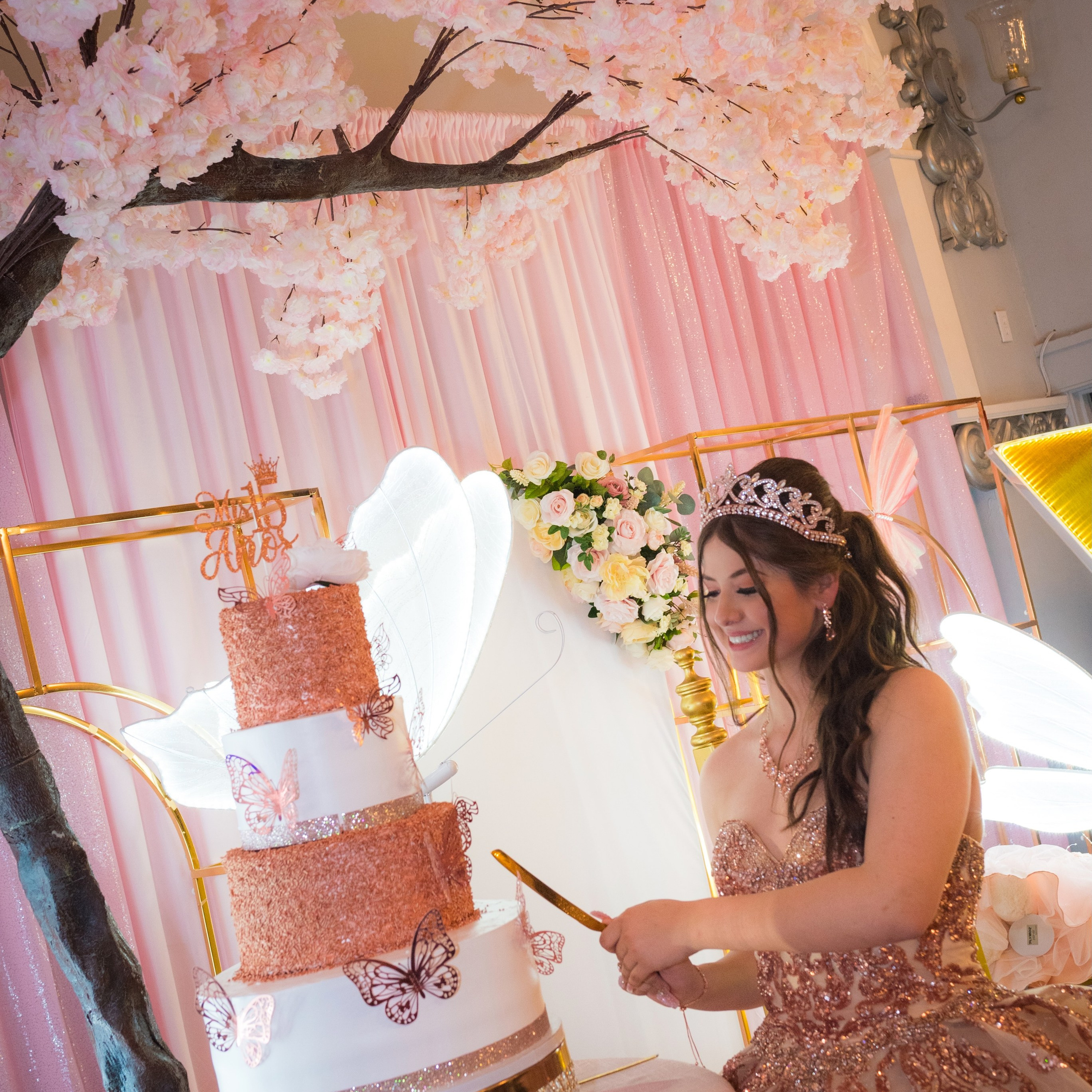 Colección: Nataly Mis Quince años