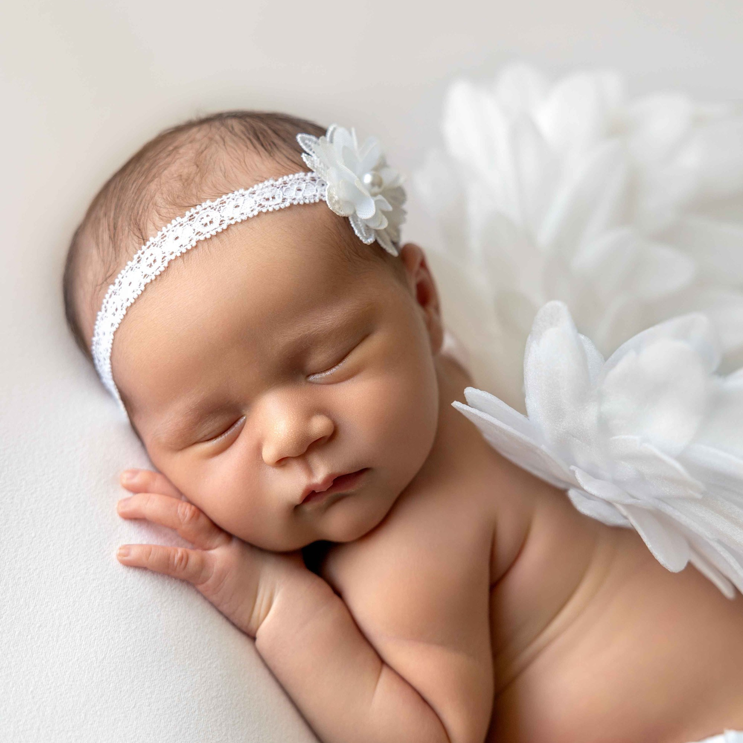 Reviews. Newborn photographer in Tampa Bay Area, FL