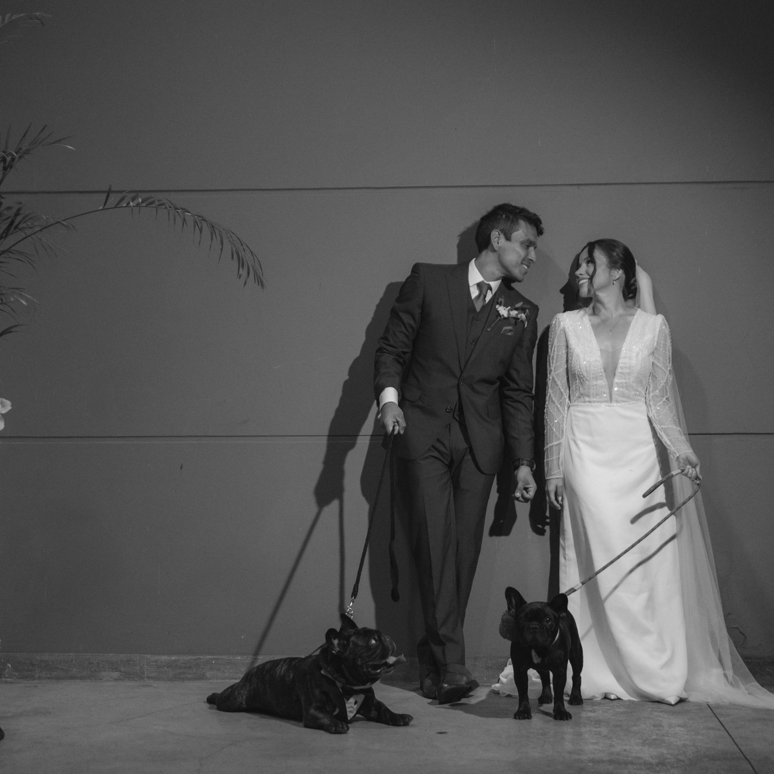Natalia & Carlos. Fotografía de bodas