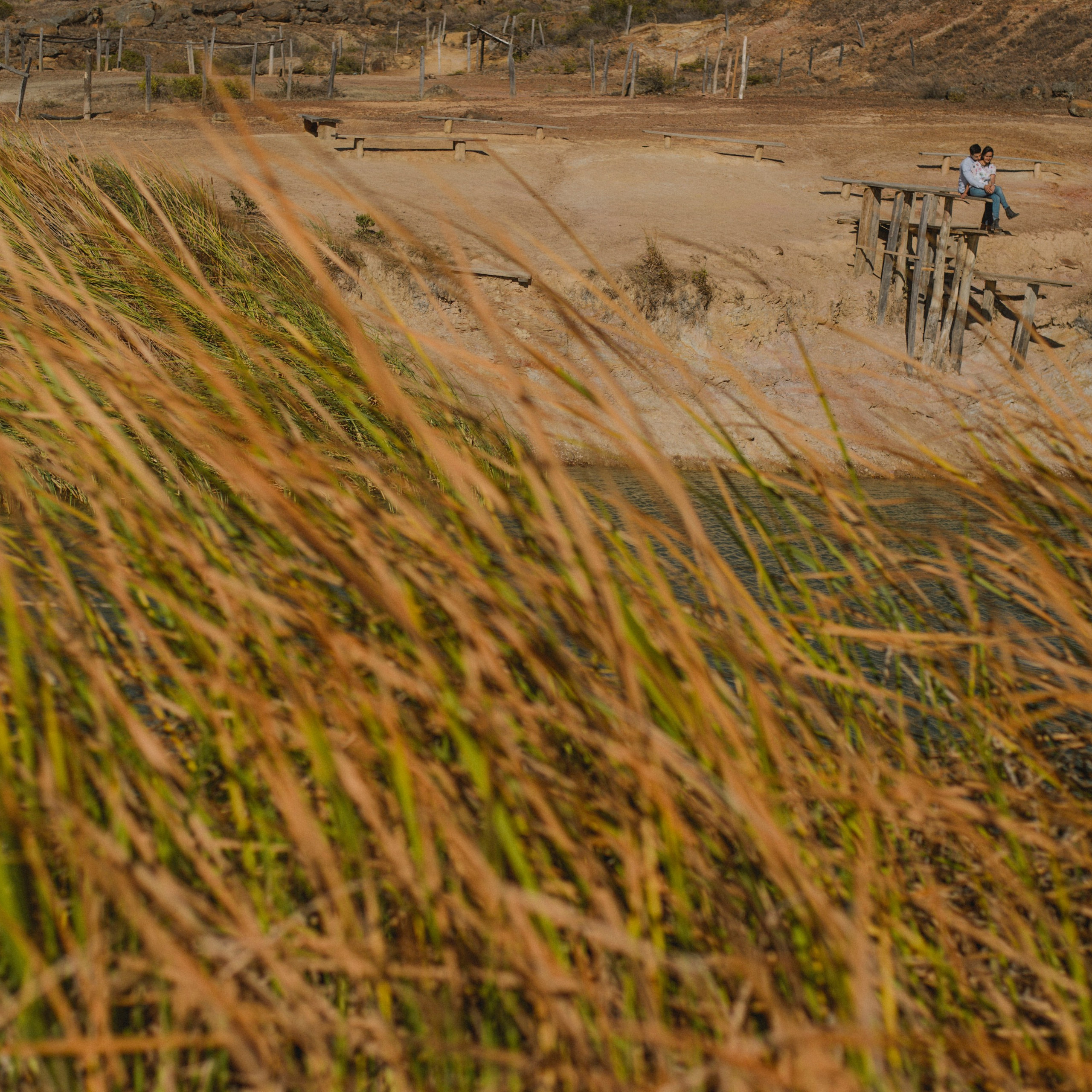 Monica & David. Fotografía de bodas
