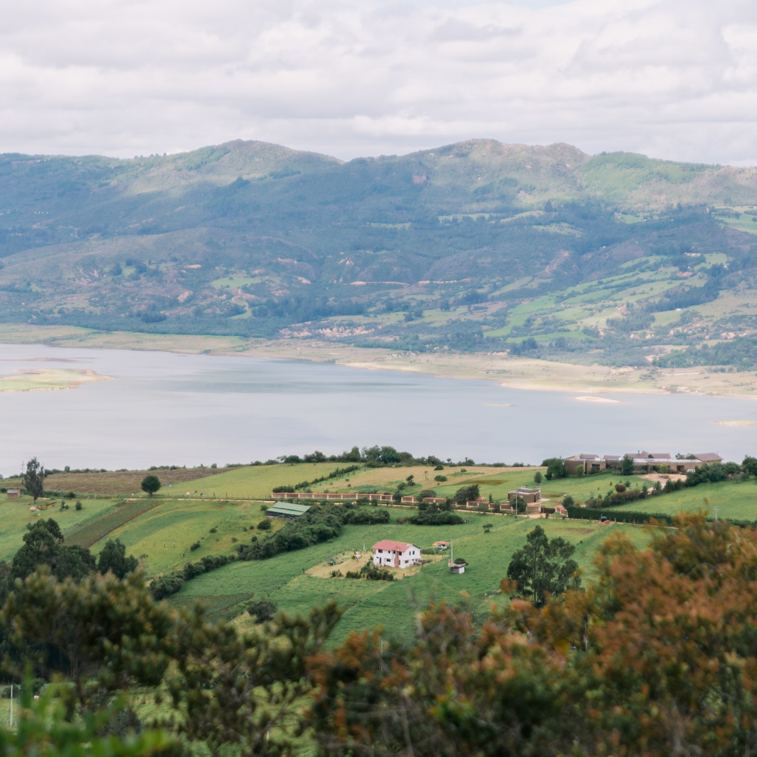Paola & Pedro. Fotografía de bodas
