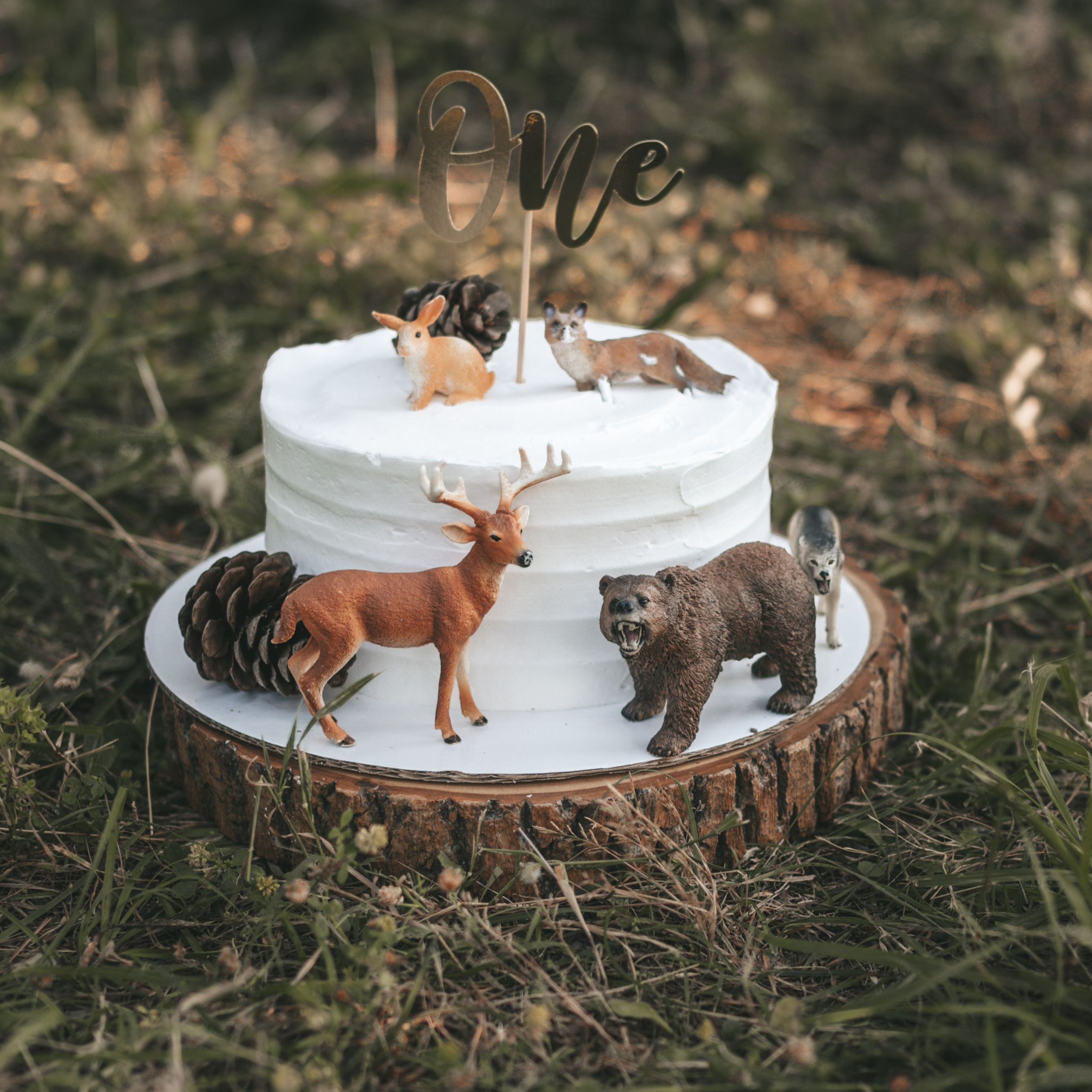 Vaši utisci. Dečiji i porodični fotograf Crna Gora — Elena Bjelobrković Photography