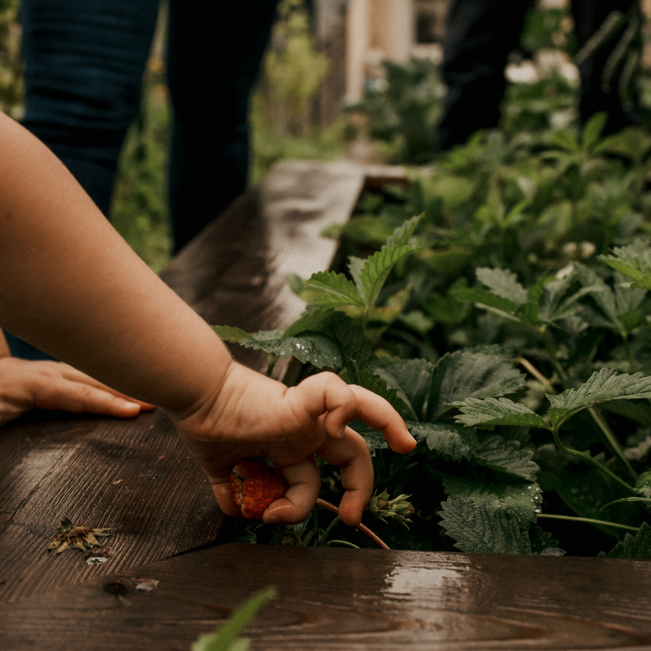 Témoignages. Je suis Olga, votre photographe de famille à Metz et dans toute la France