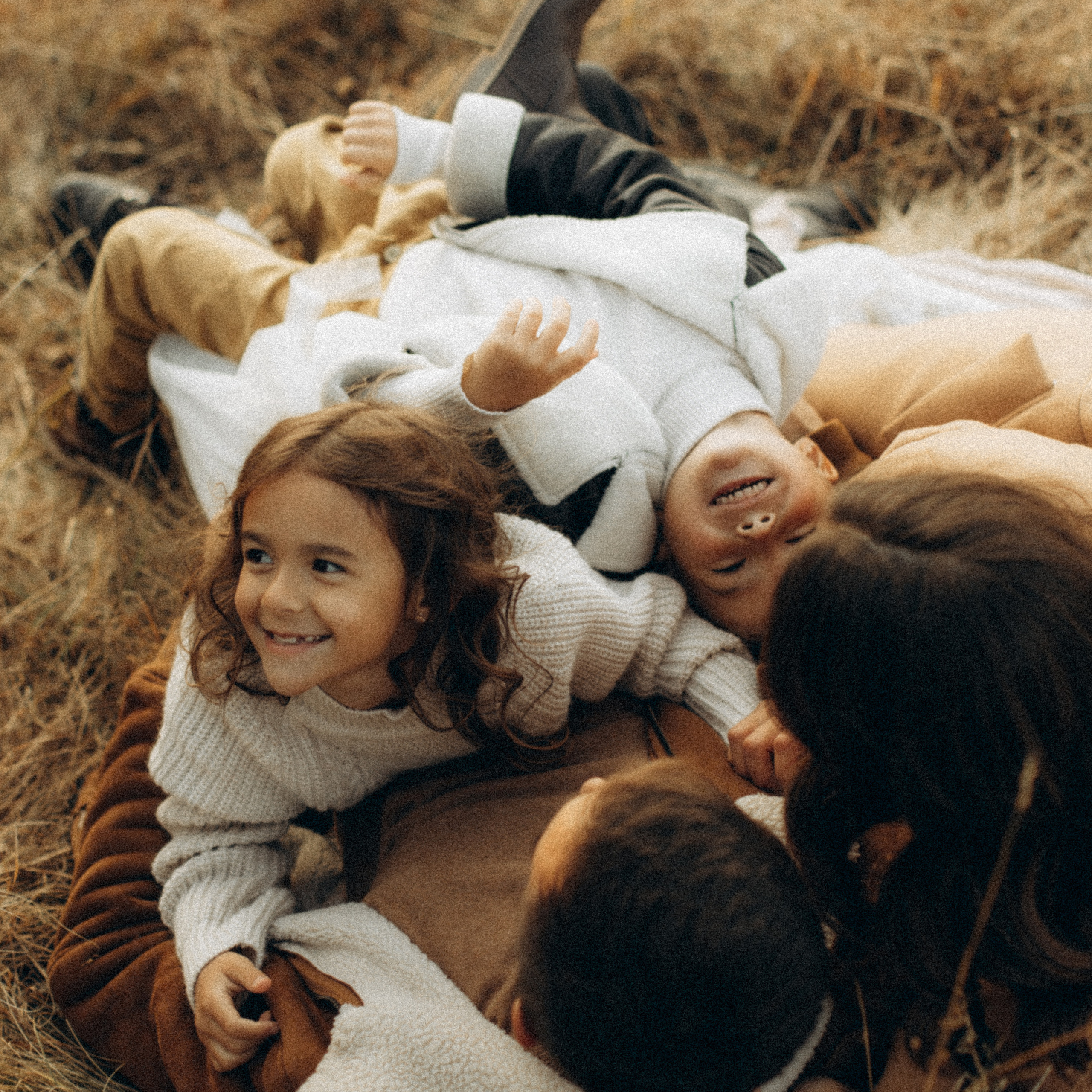 Carpathian mountains