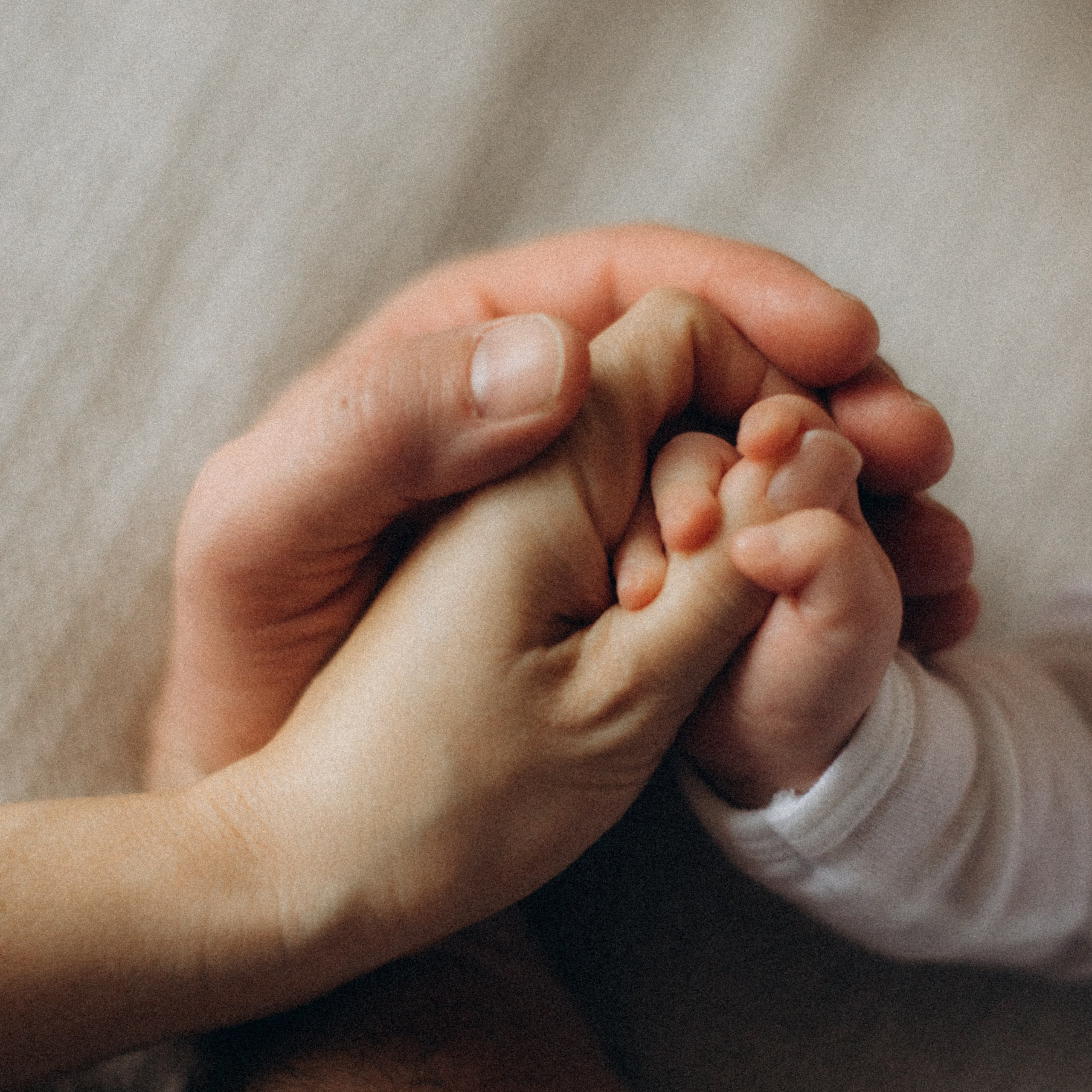 REVIEWS. CAPTURED BY SHANKS PHOTOGRAPHY