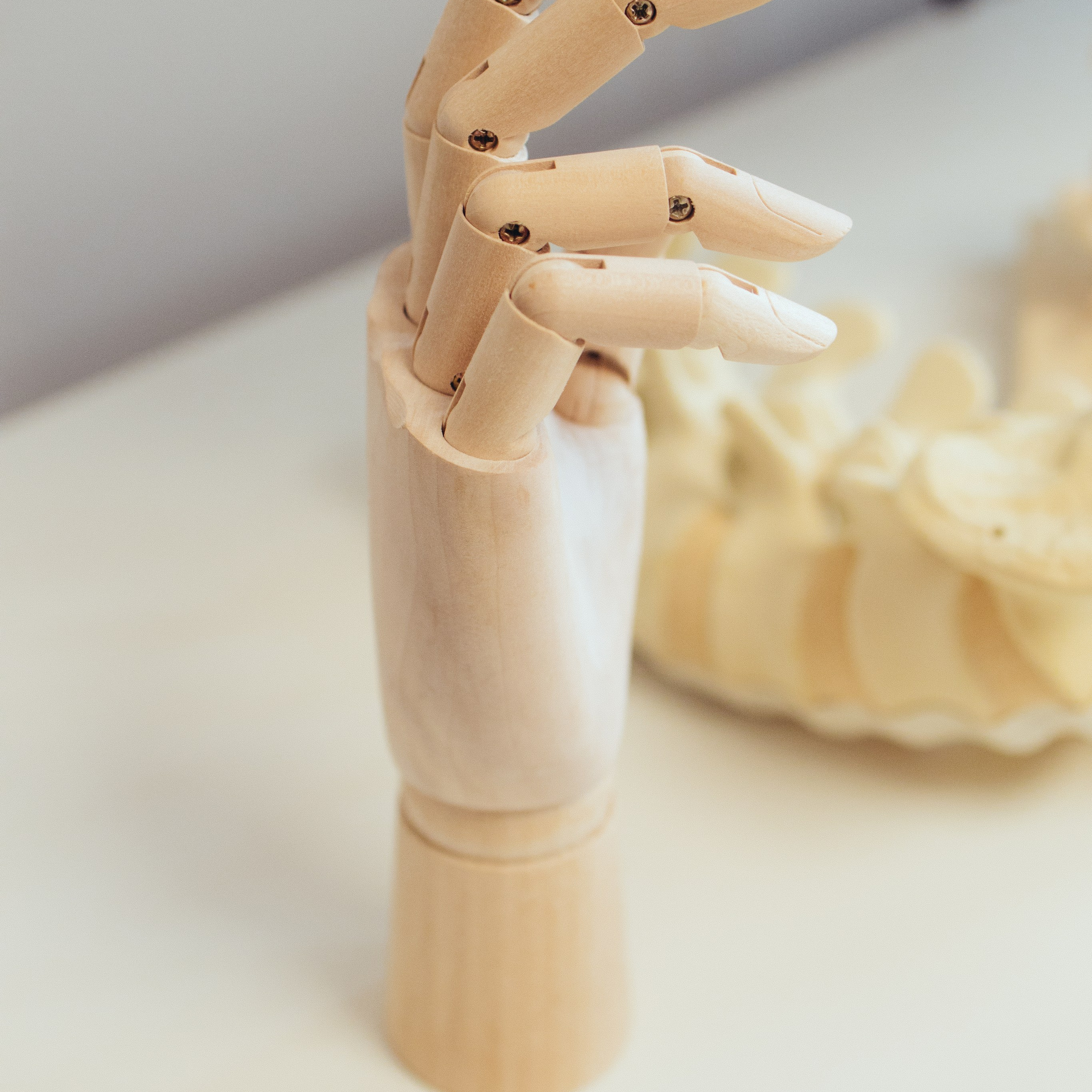 Testimonials. Brand image photographer in Vienna, Austria