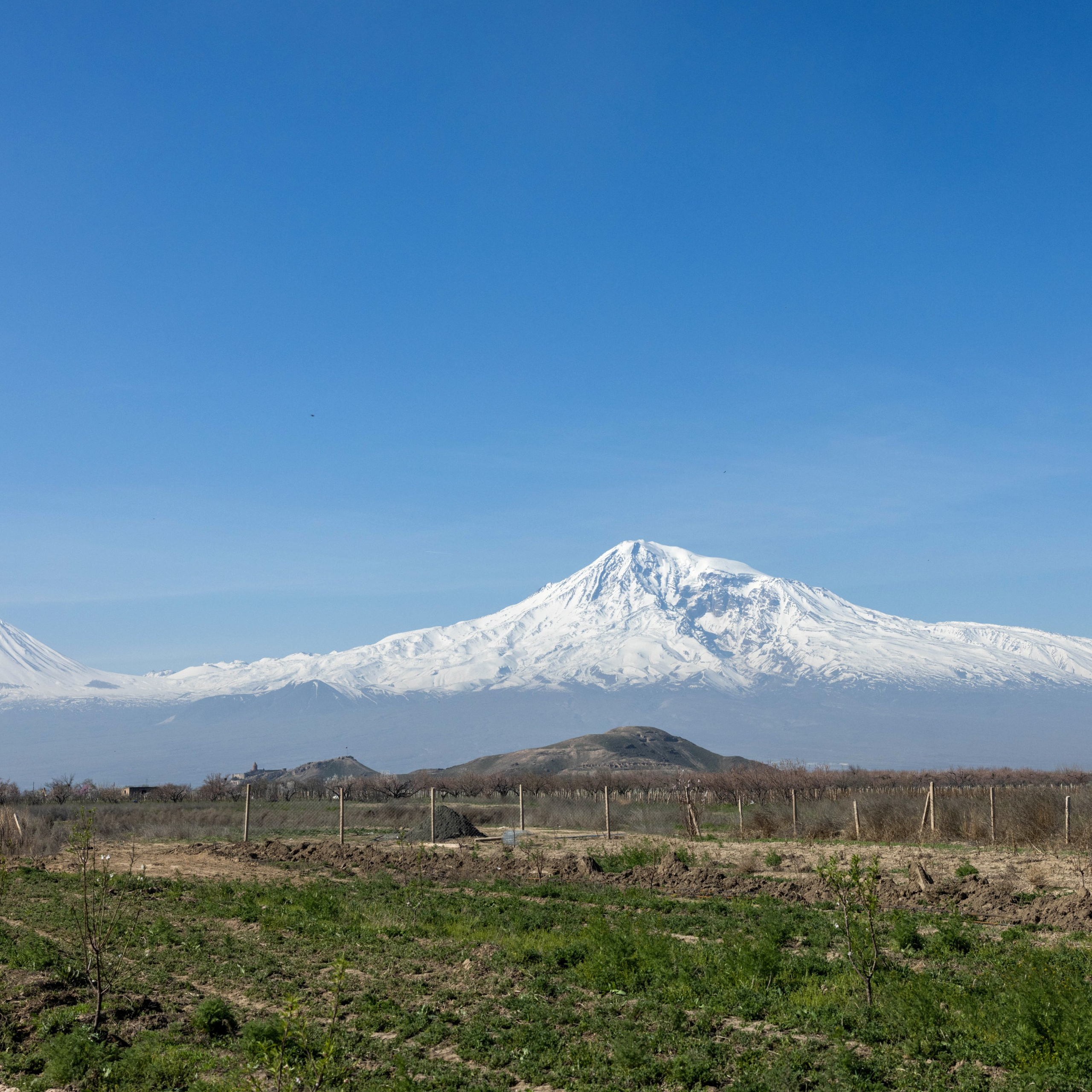 Отзывы. Семейный и детский фотограф в Ереване Алиса Товмасян