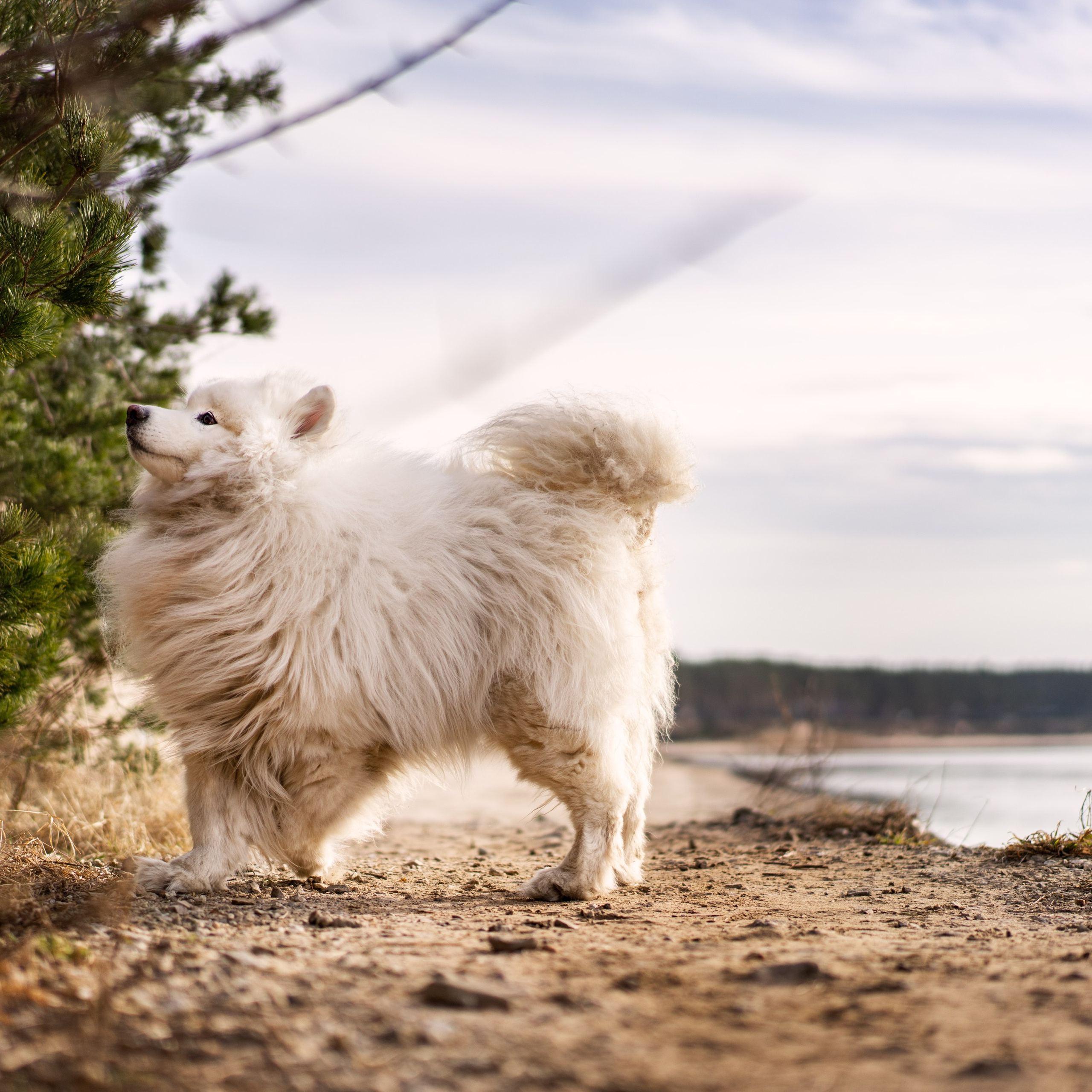 Your feedback. Sports and portrait photographer in Riga