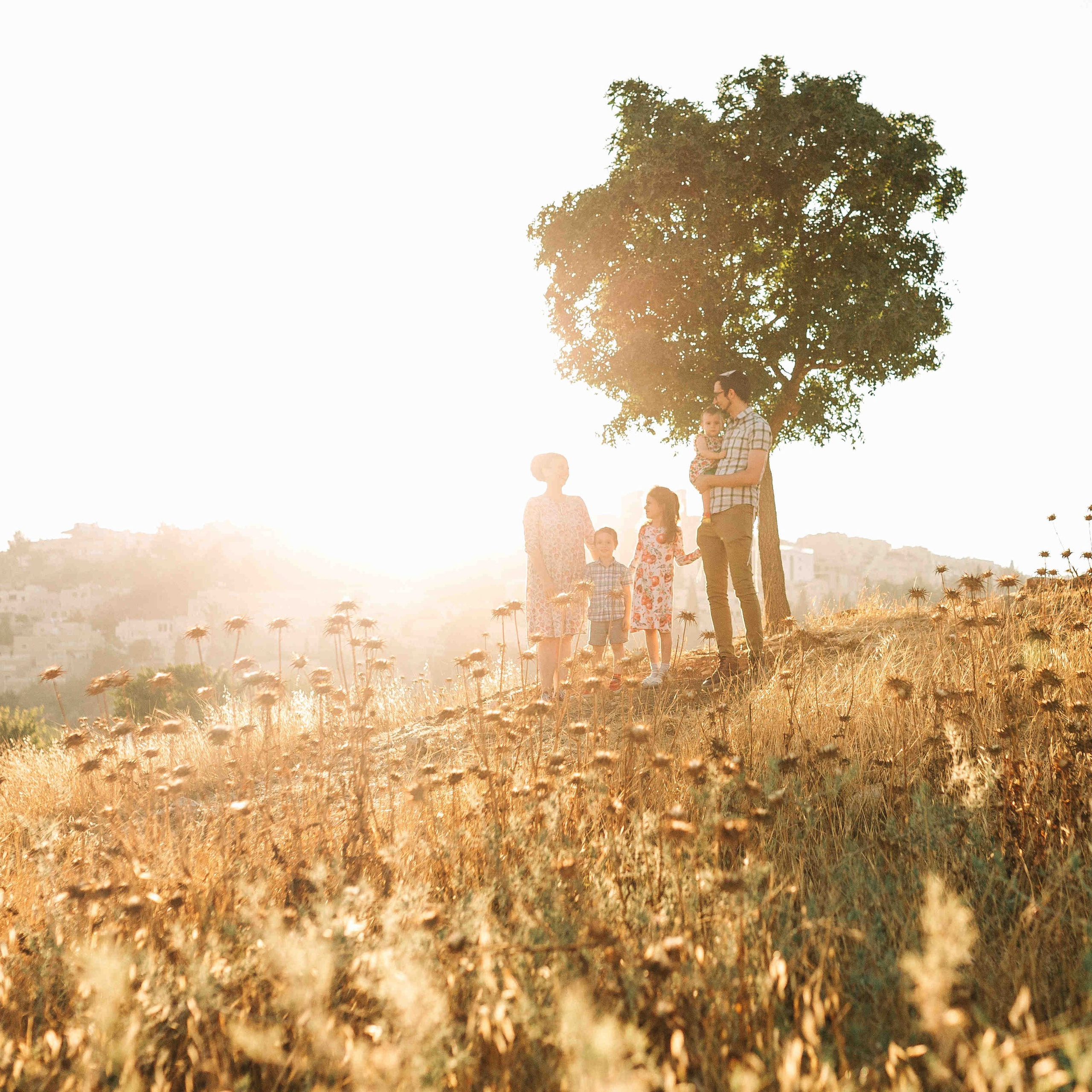 VALLEY OF GAZELLES, JERUSALEM