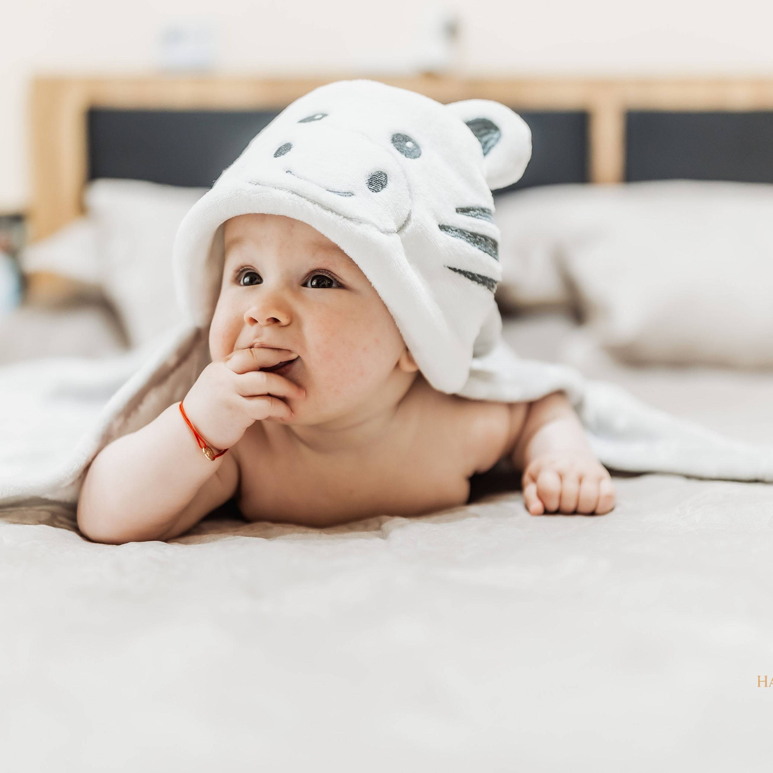 Eric Alin | Christening Day