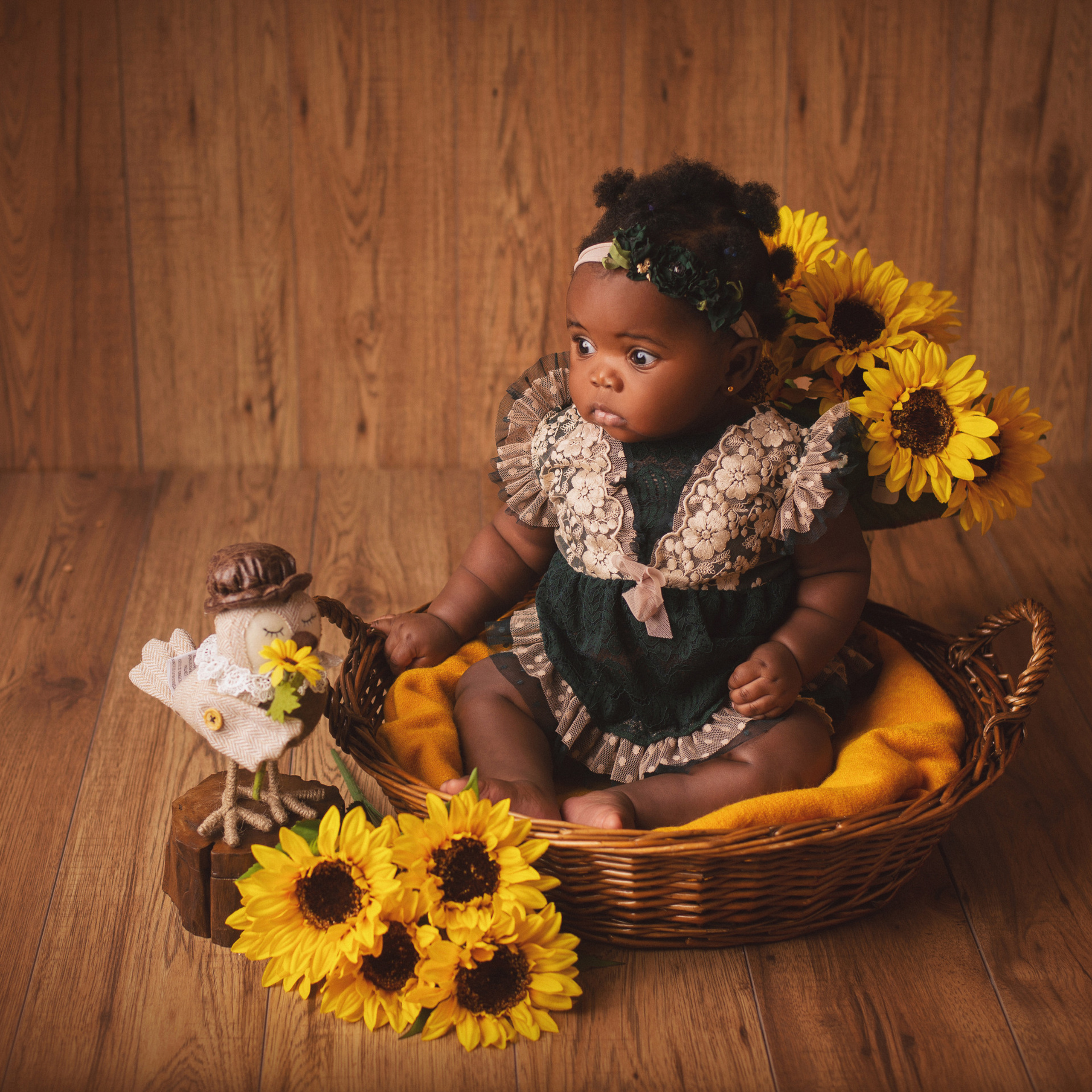 Testimonials. Ottawa Newborn and Baby Newborn Photographer Elena Helali