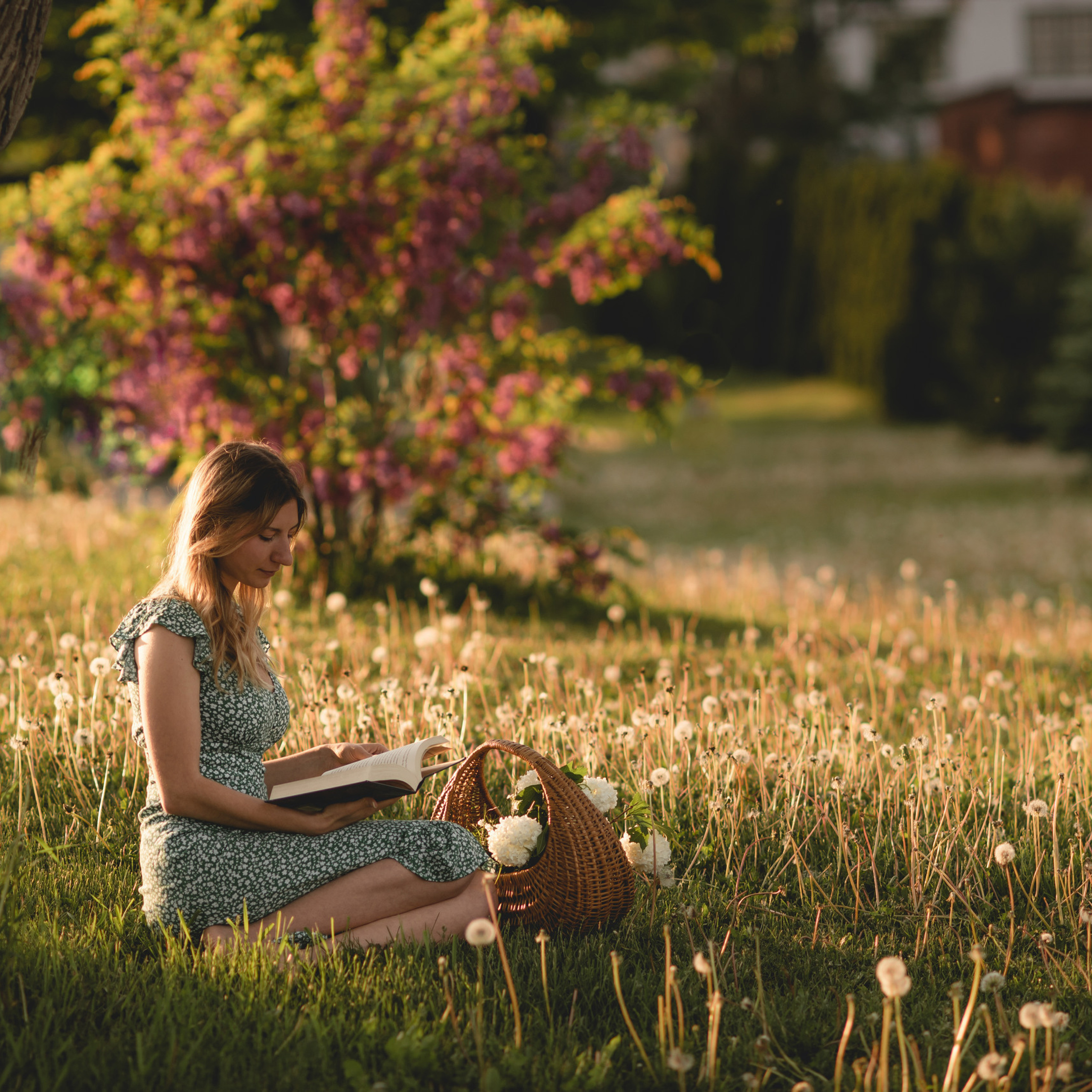 Testimonials. Ottawa Newborn and Baby Newborn Photographer Elena Helali