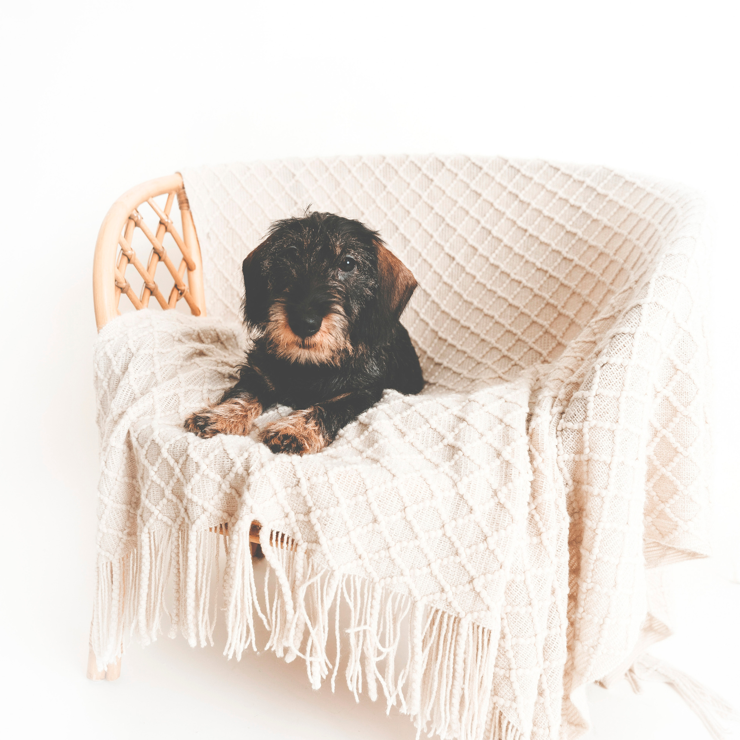 Palautteet. Senjakulmala.fi