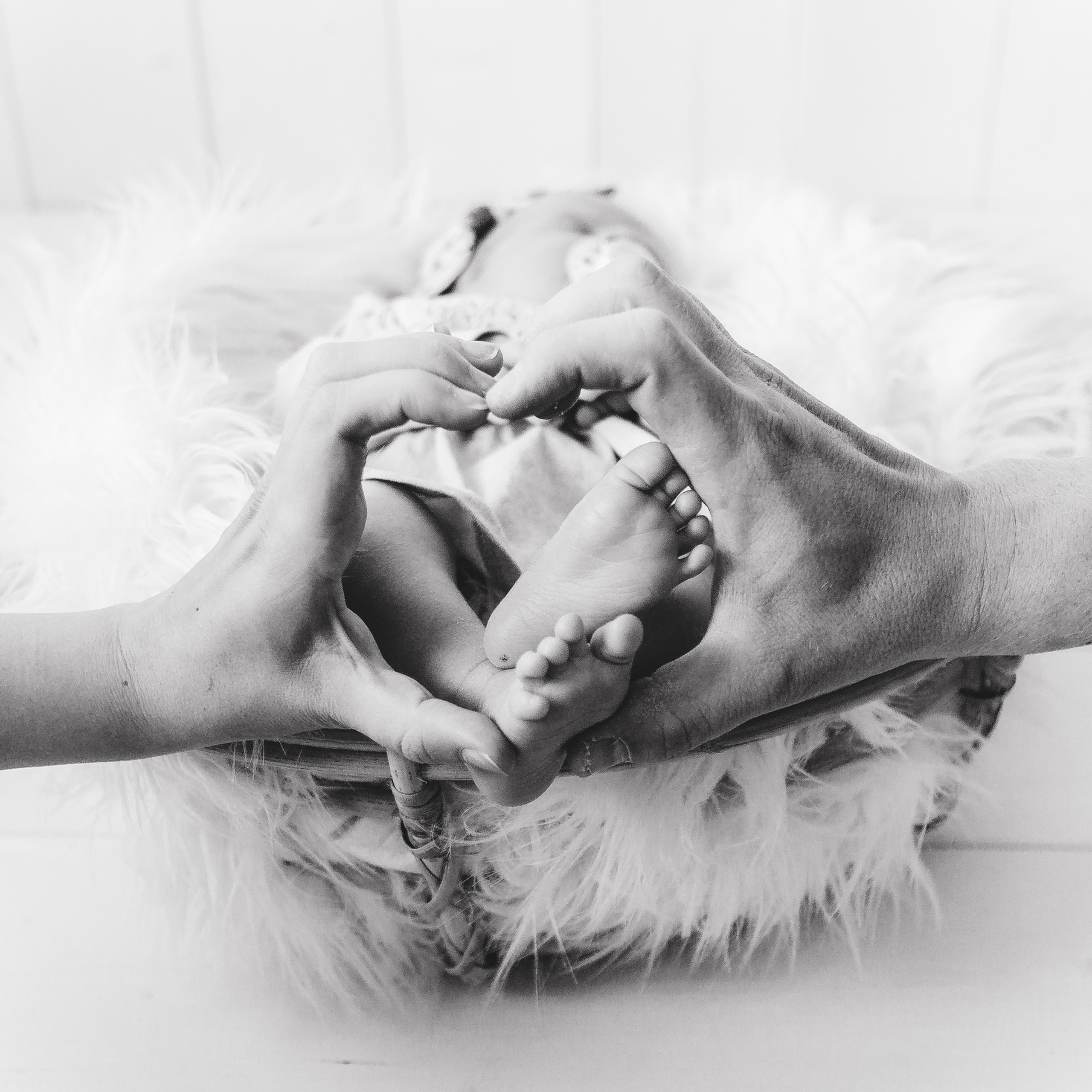 Palautteet. Senjakulmala.fi