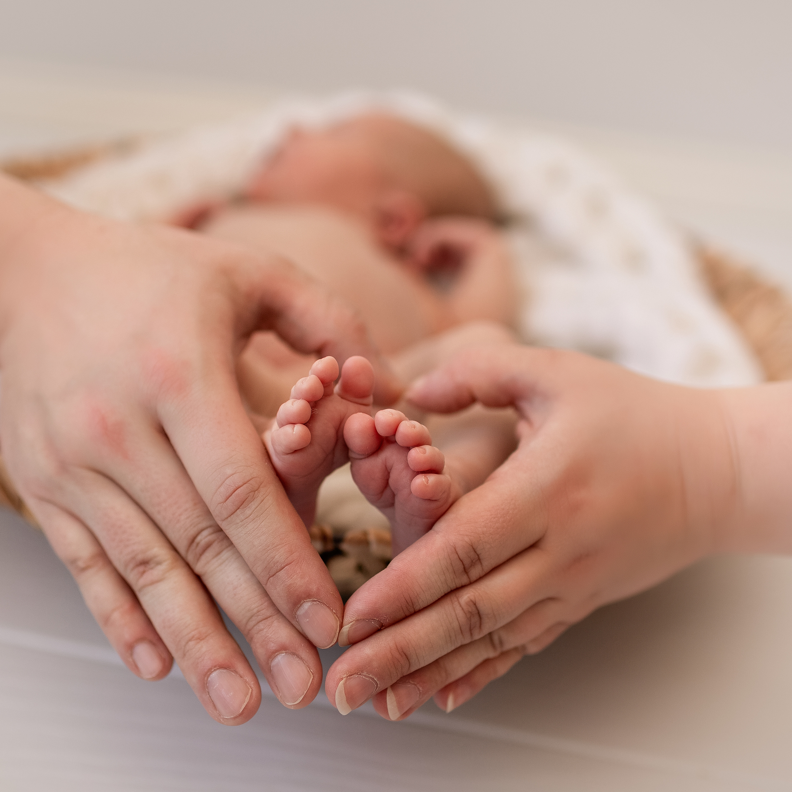 Palautteet. Senjakulmala.fi