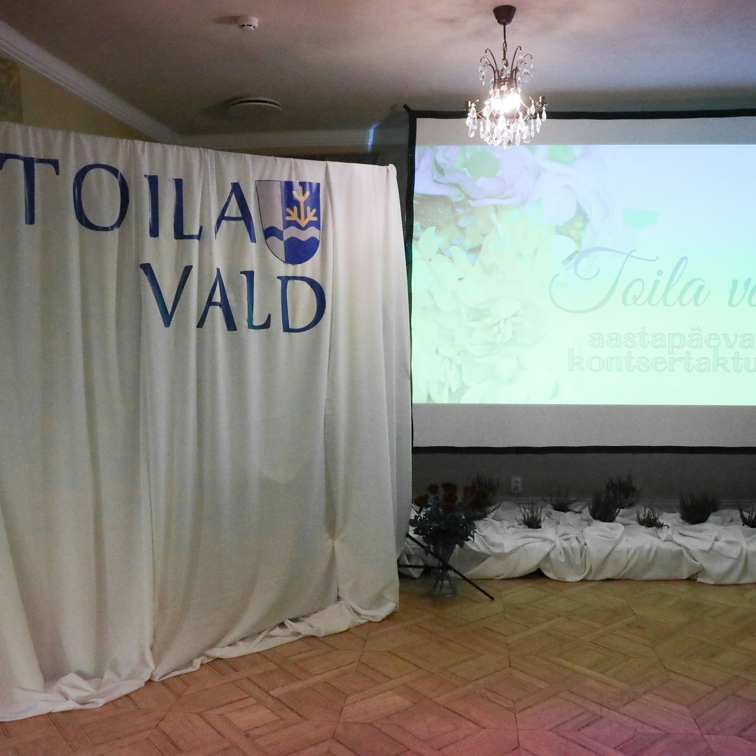 Tagasisiide. Свадебный фотограф Эстонии