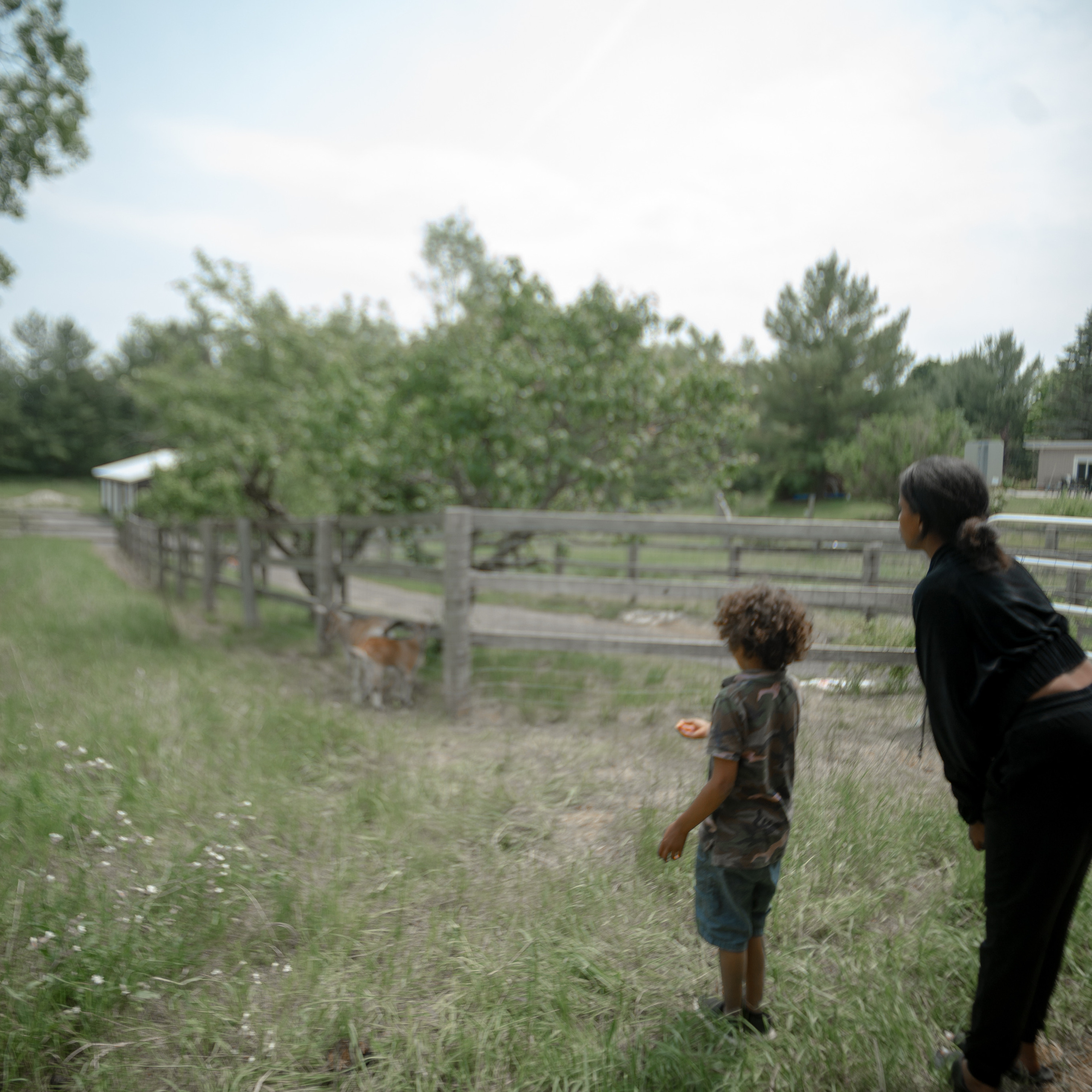 Client Feedback. Visual Art by Life Artist, Shiva Marchand