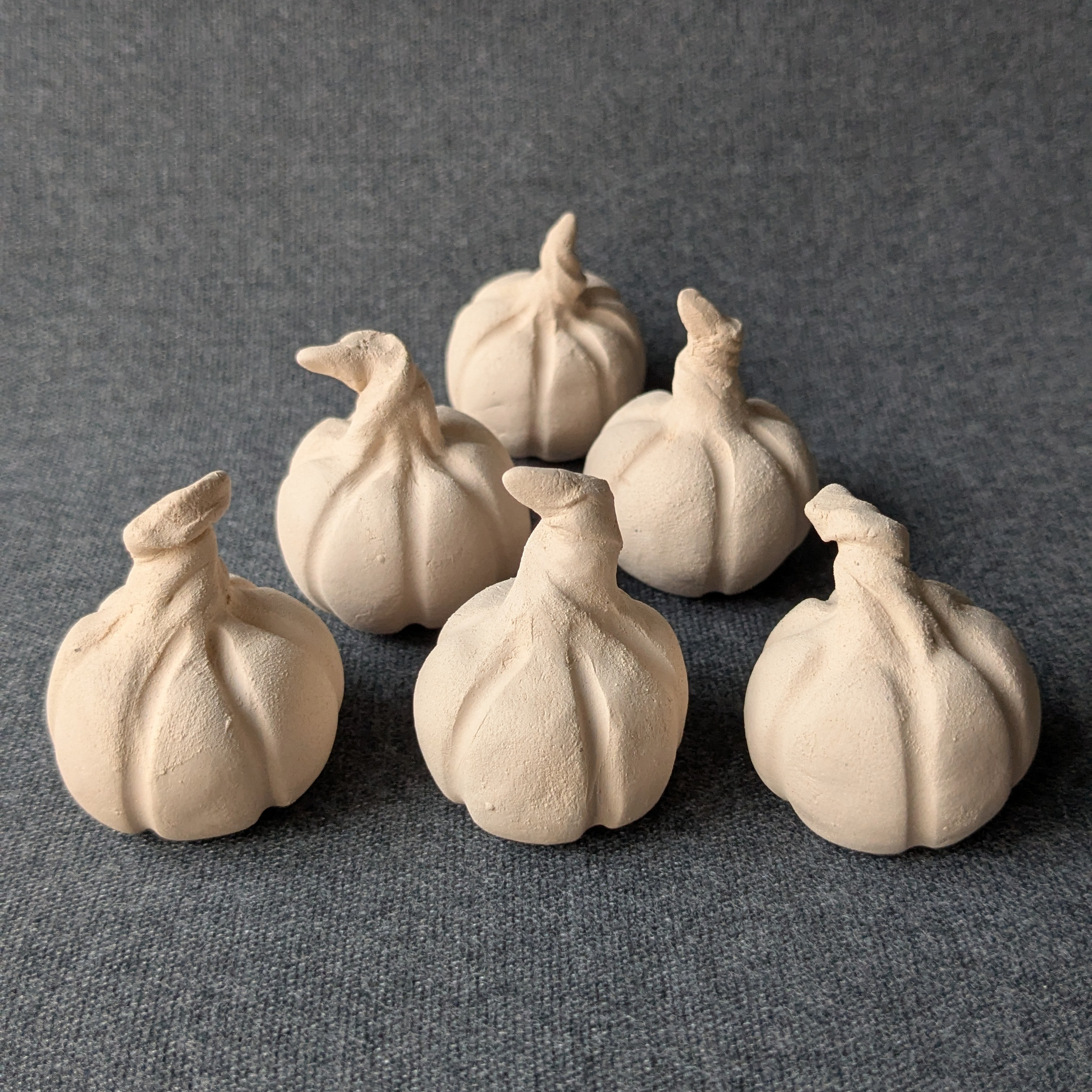 Avoimen studion kausikortti. Alina-keraamikko