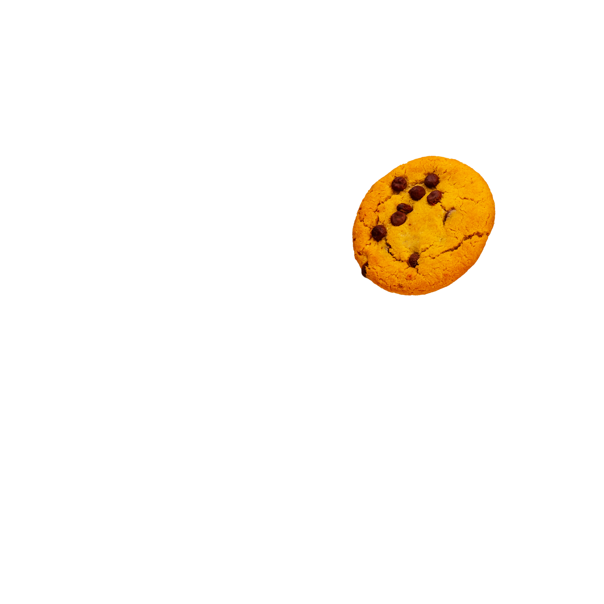 Atsauksmes. Fotogrāfs Rīgā. Gīmenes, individuālās un dažādu produktu fotosesijas