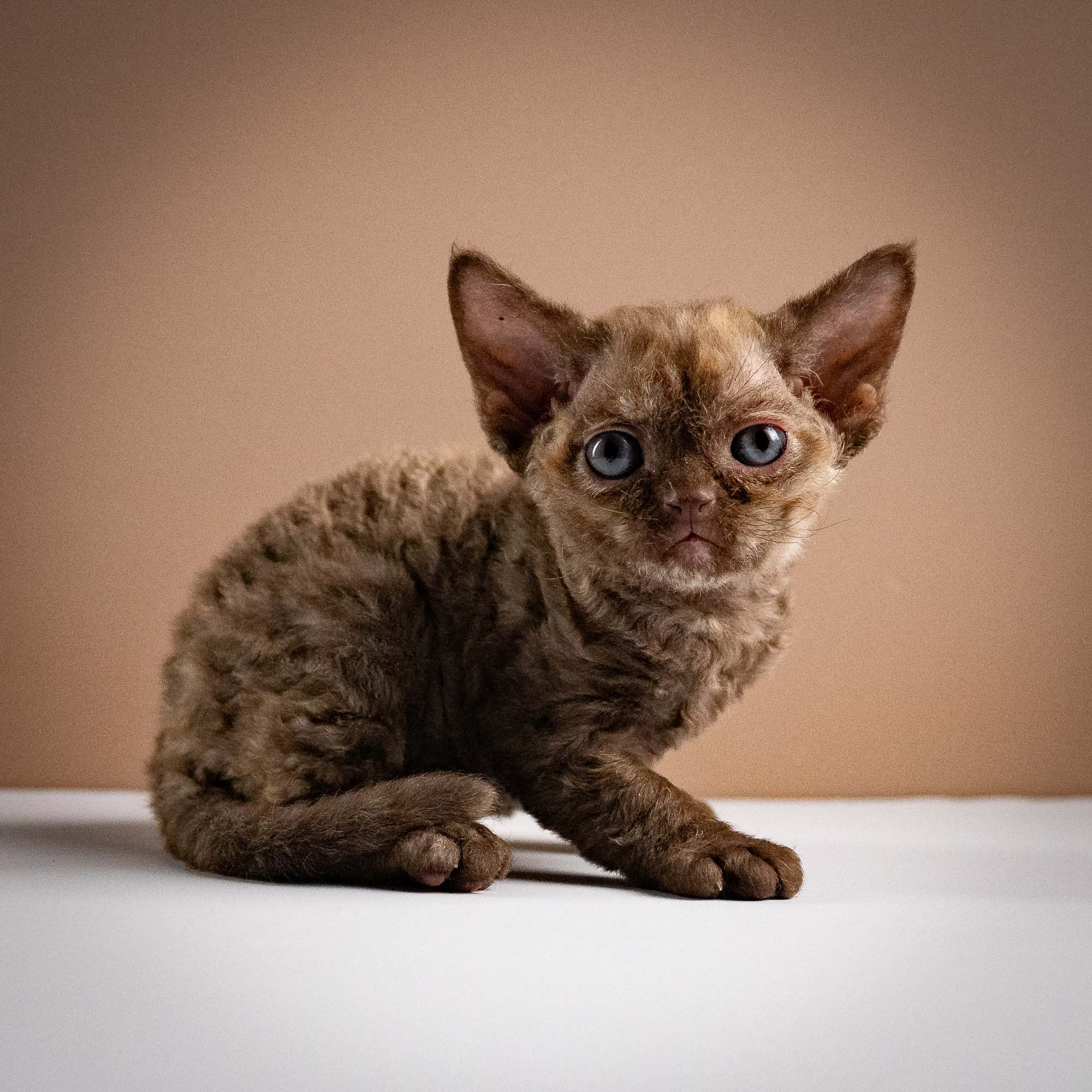 Olivia, girl, born 02.08.26