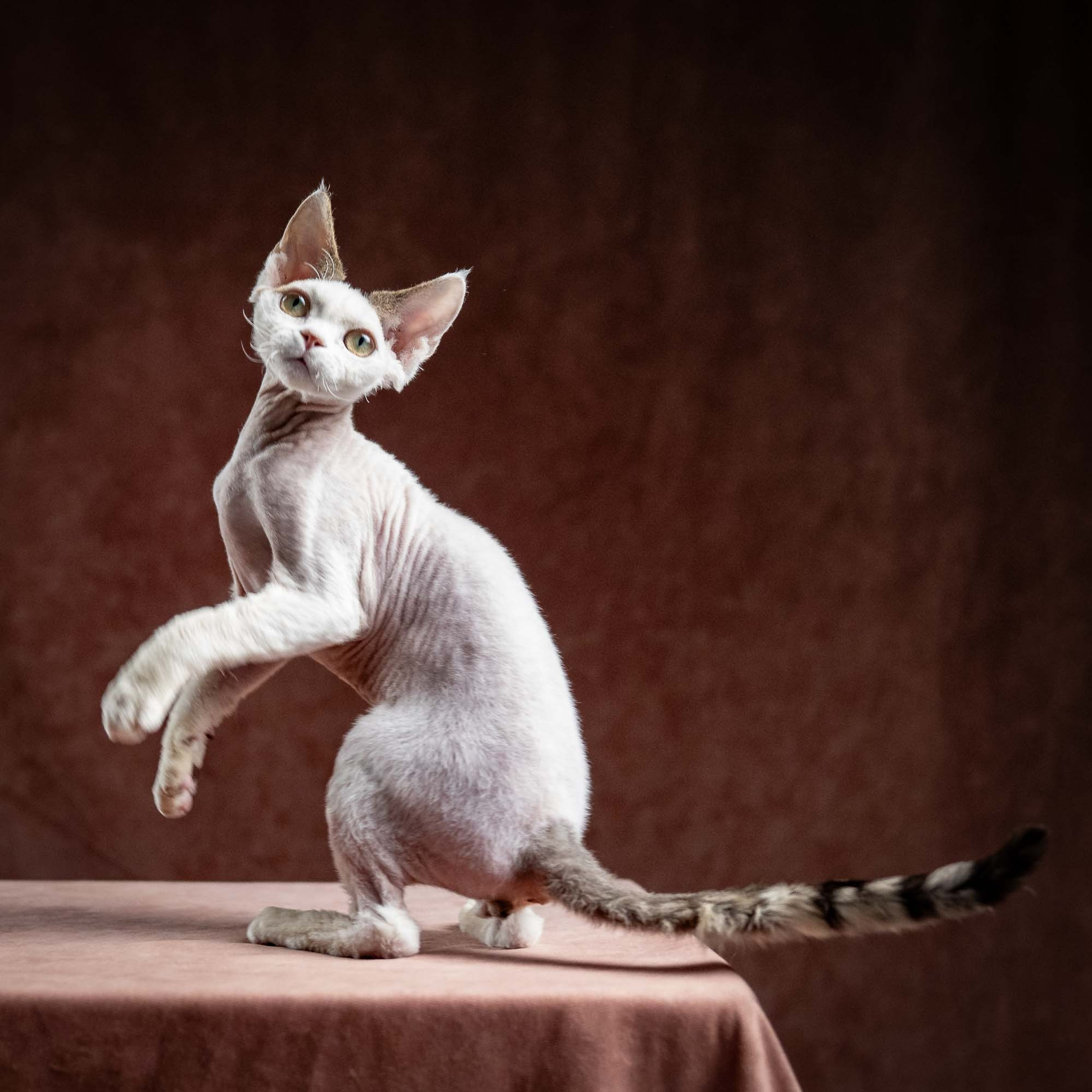 Oscar, boy, born 04.15.2025