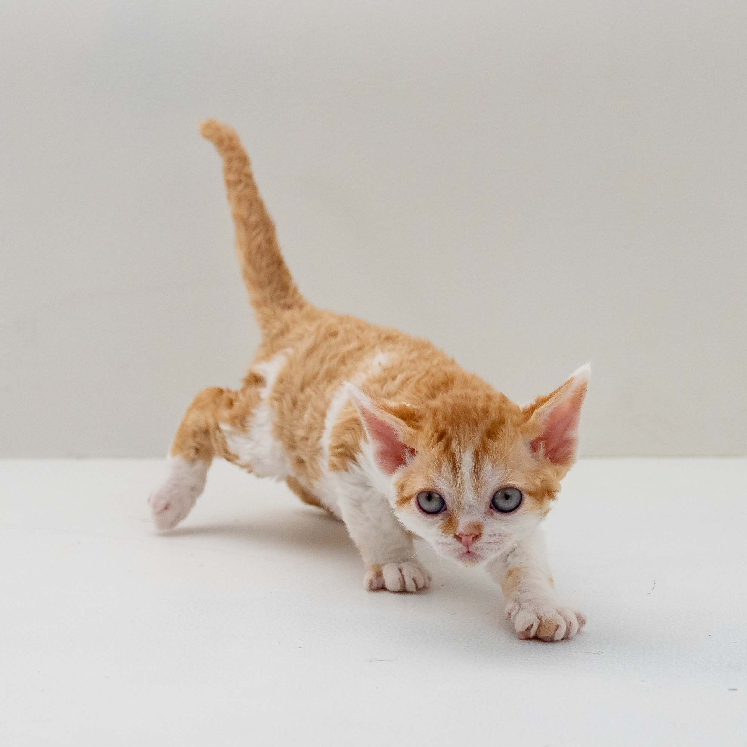 Gary,  boy, born on 01.18.25