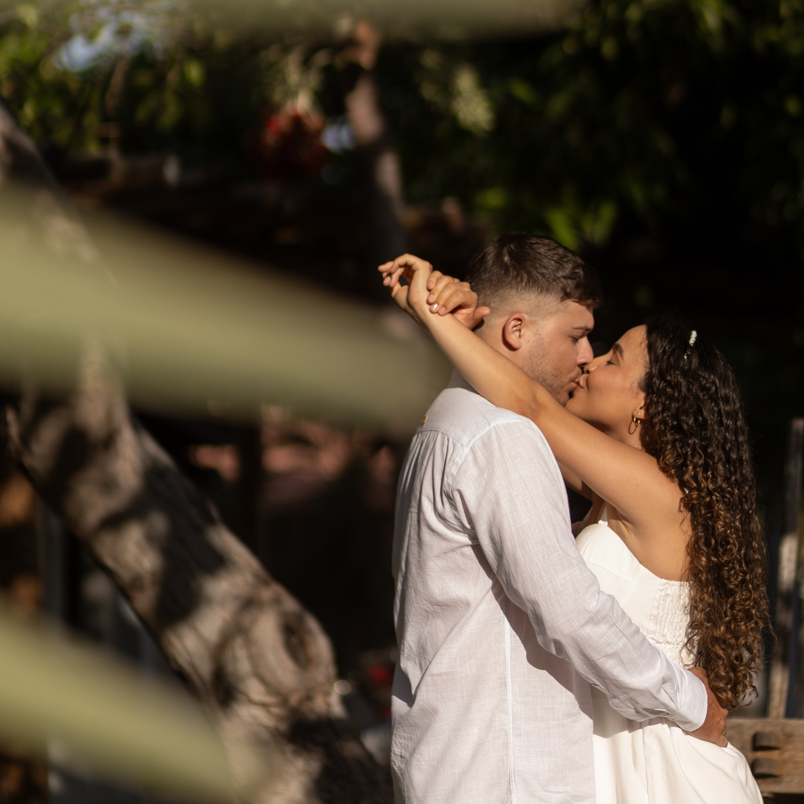 Ícaro e Veila