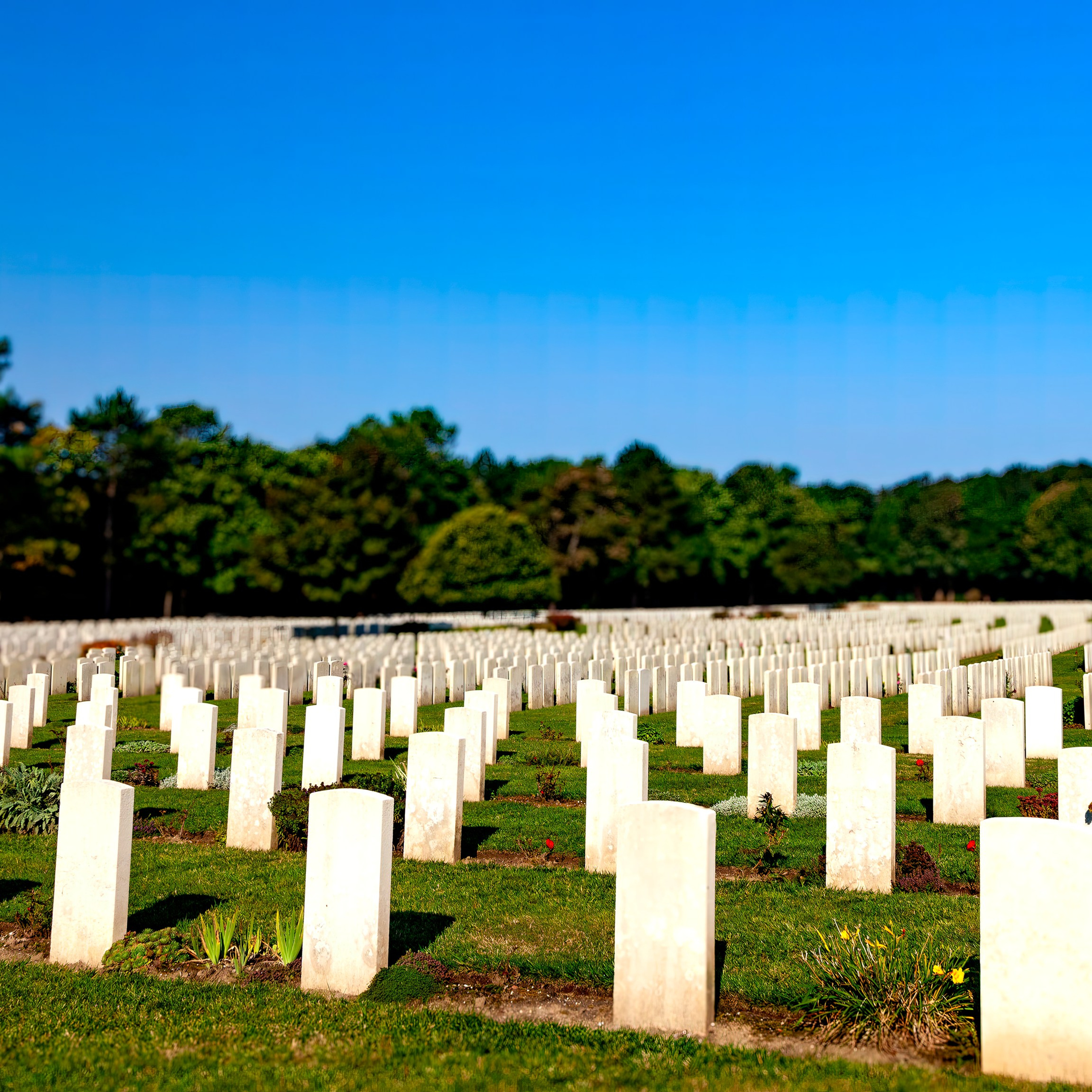 174.Étaples Military Cemetery.18.9.2024.