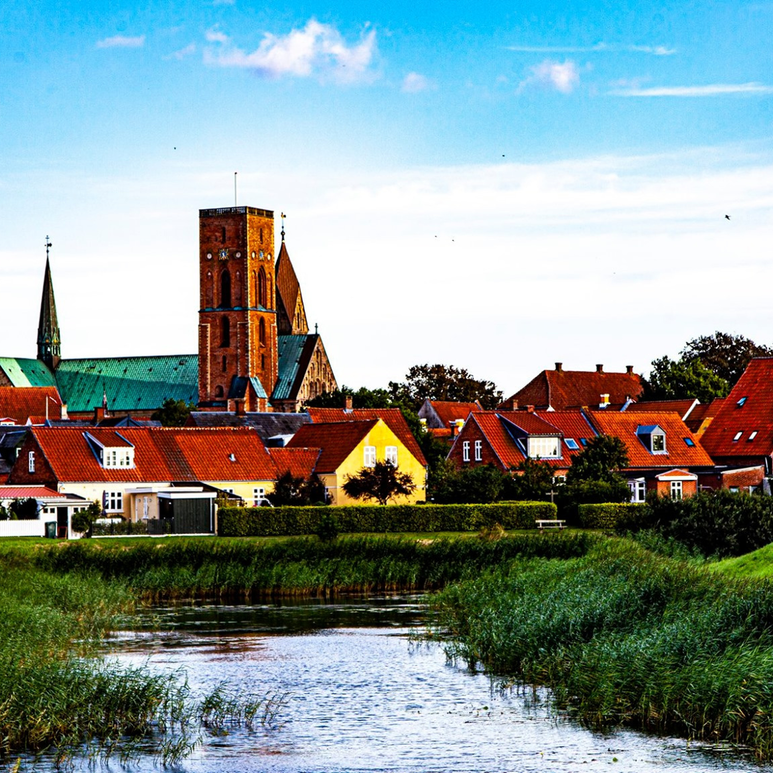 55.Kongeriget Danmark.Ribe.22/7-30/7/2019