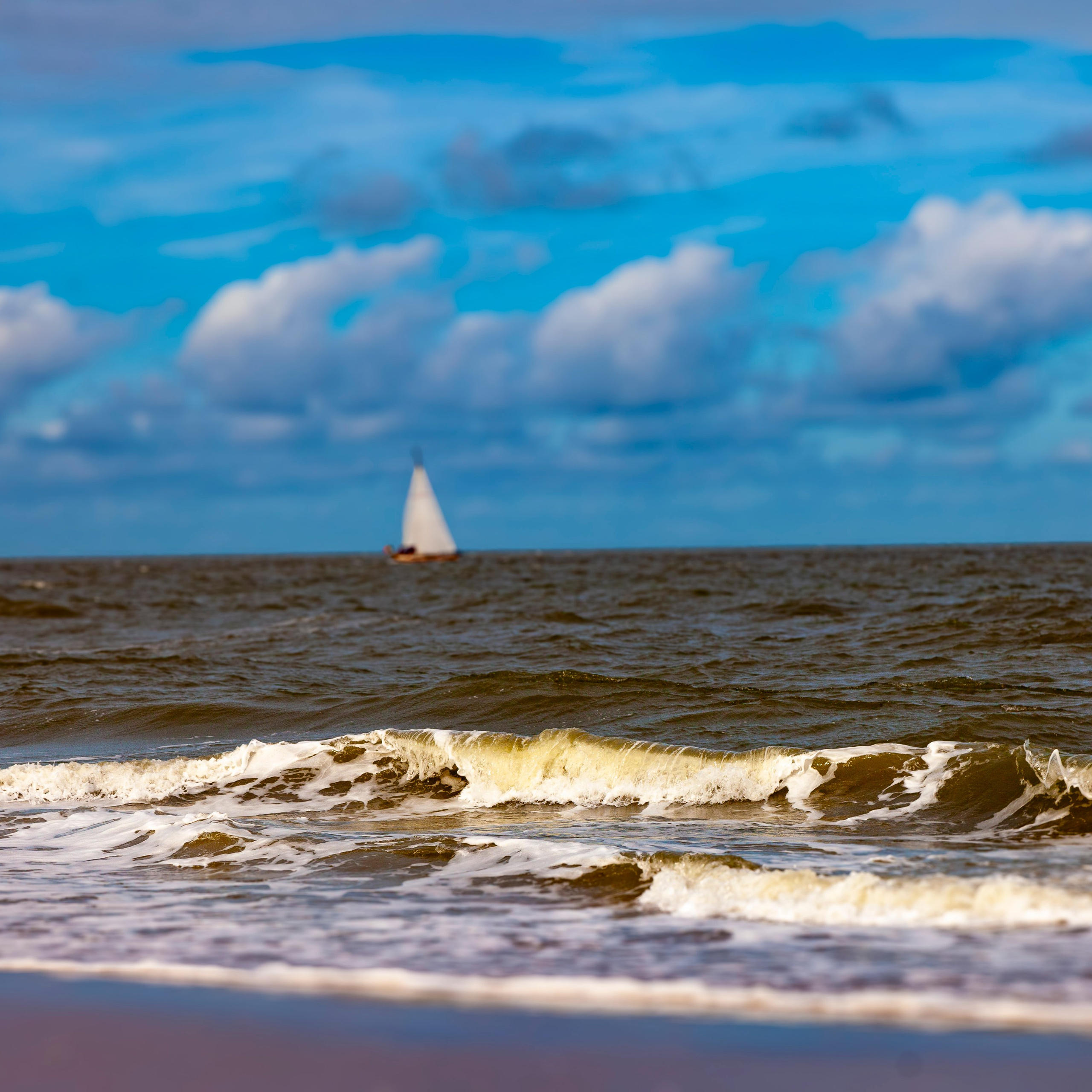 169.Strand De Duinpan.Belgium.16.9.2024.