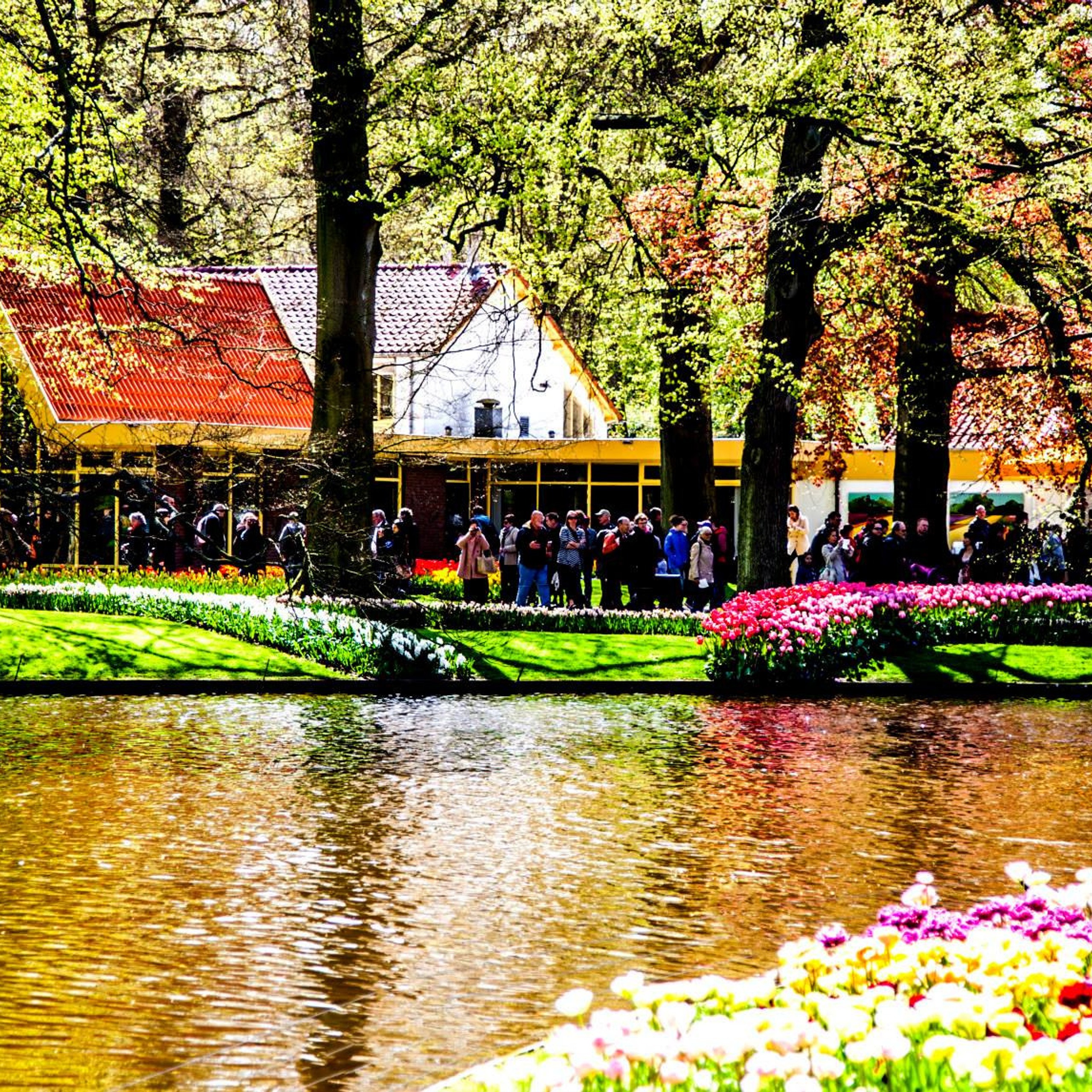 12.Keukenhof — 8 000 000…