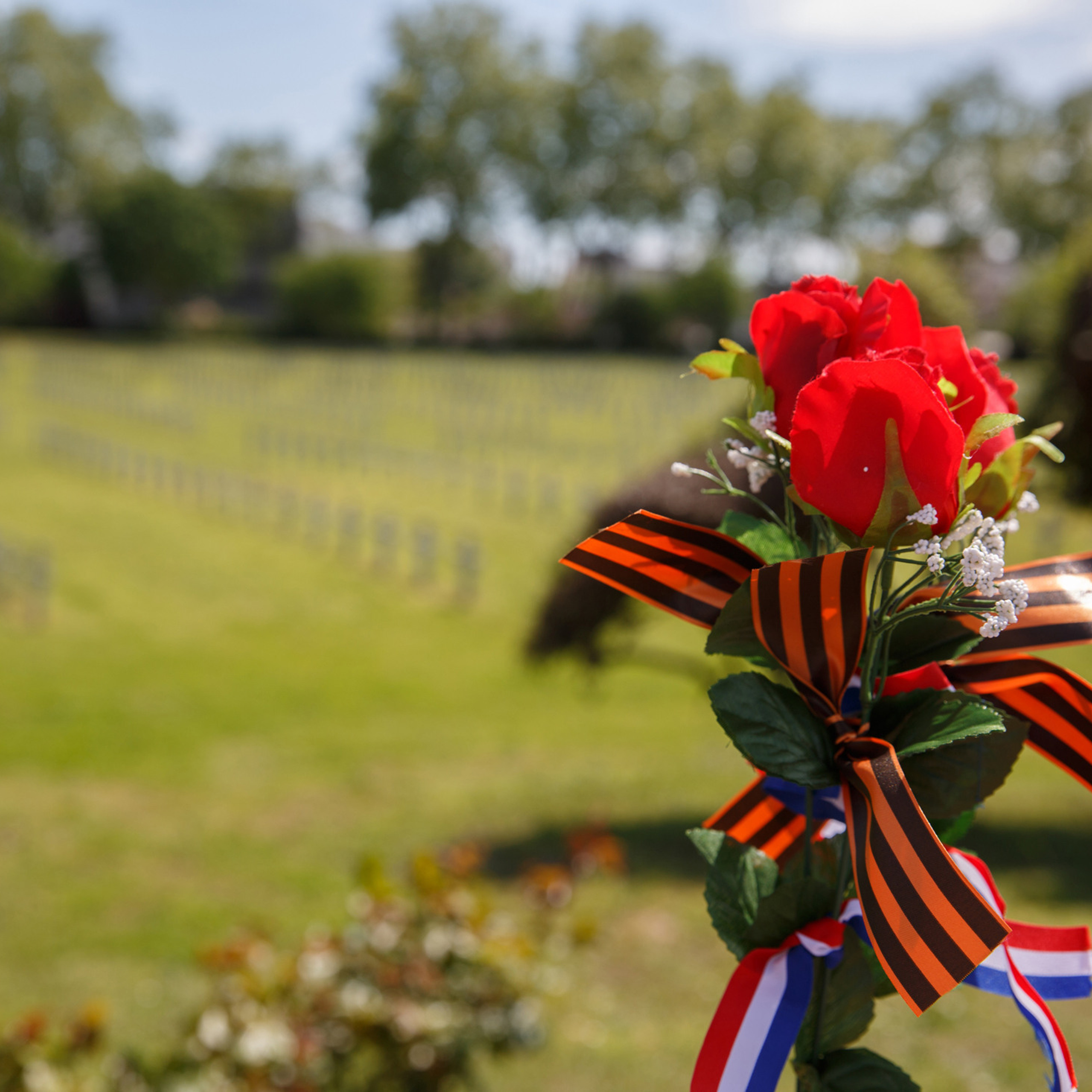 VOS AVIS. Photographe professionelle spécialisée dans la photographie de grosses
