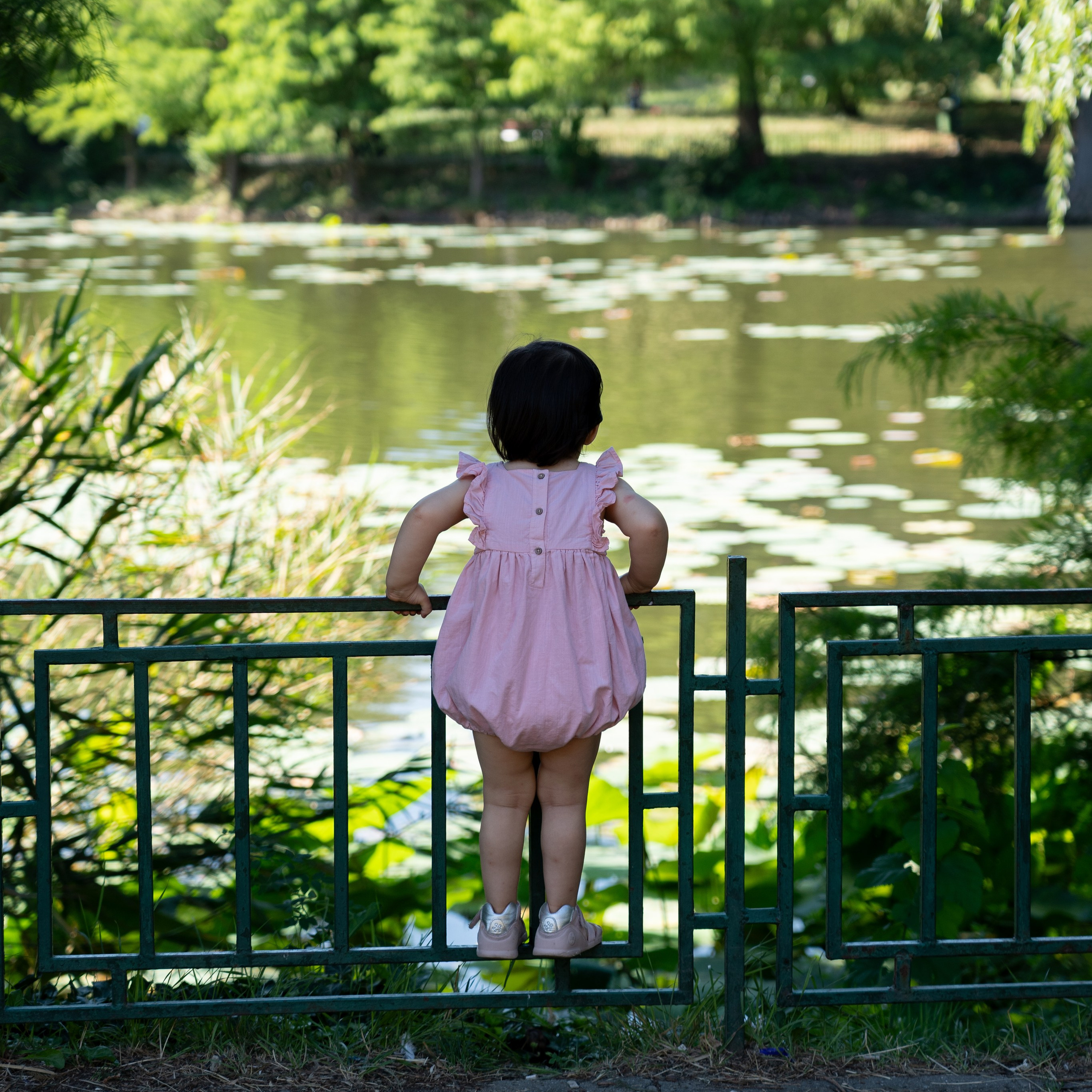 ALB - Alexandru Laurențiu Bîrsan fotograf păreri, testimoniale, recenzii