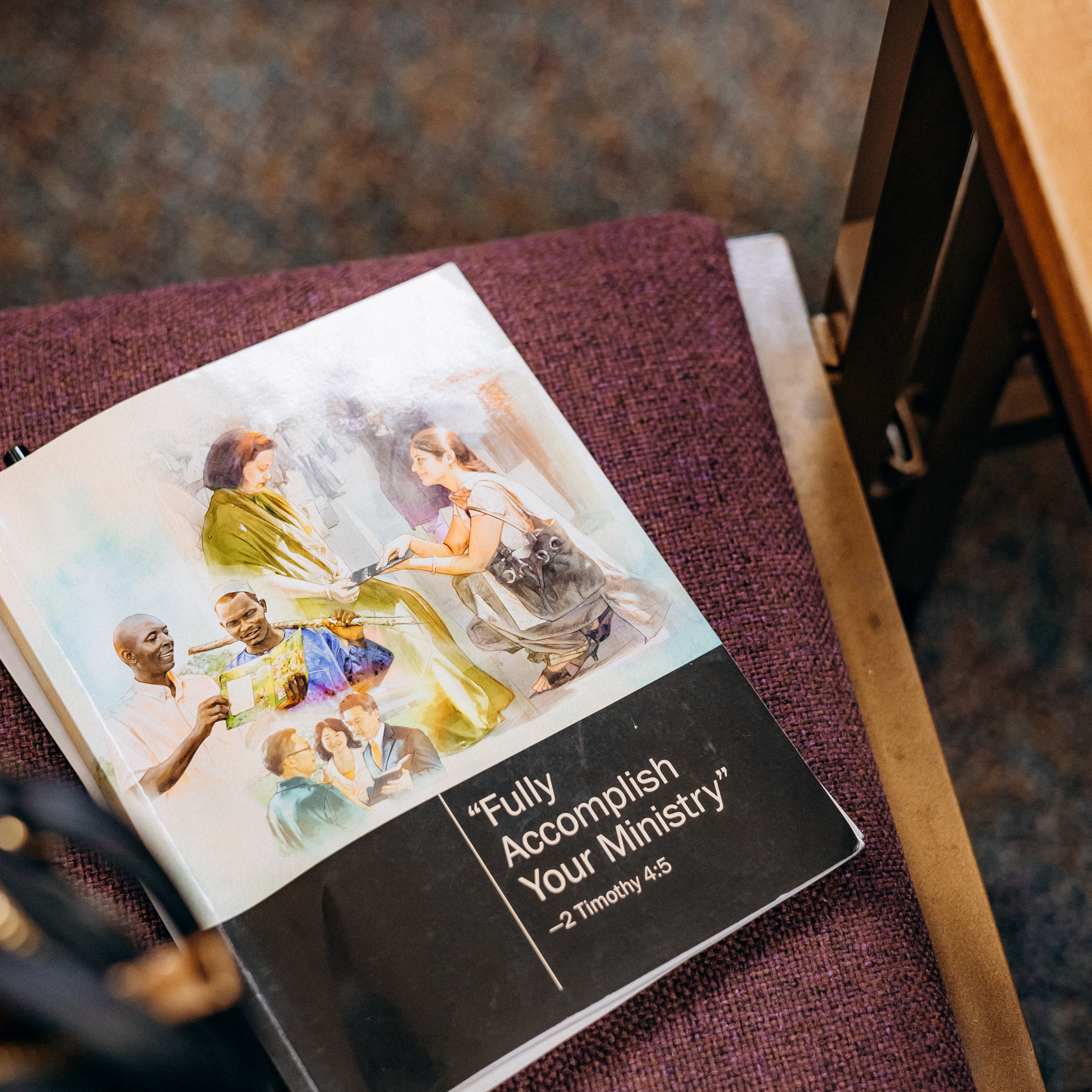 Client Reviews – NYC Photo Sessions. Sasha Amelie — Lifestyle Photographer NYC