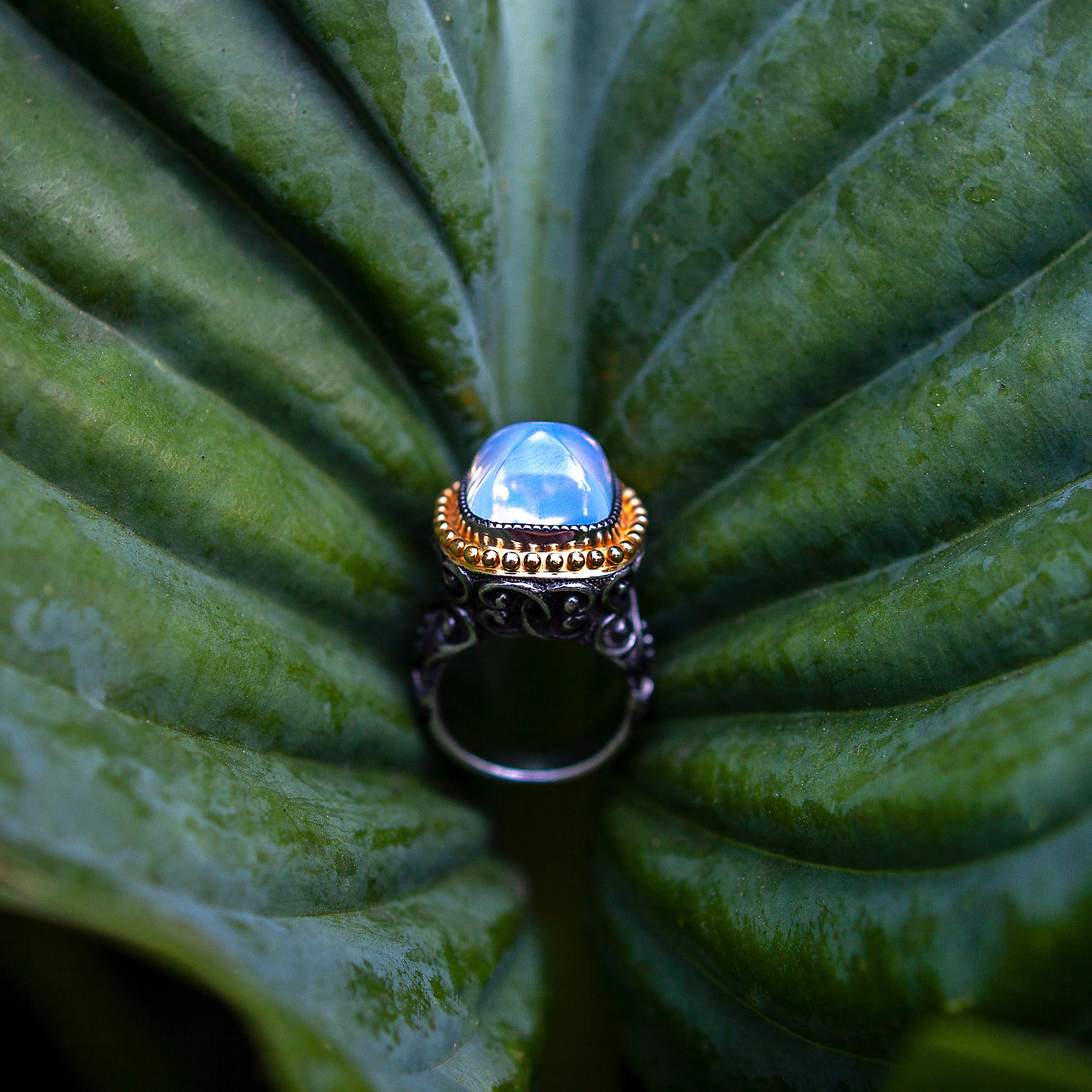 Elena Okutova | Jewellery