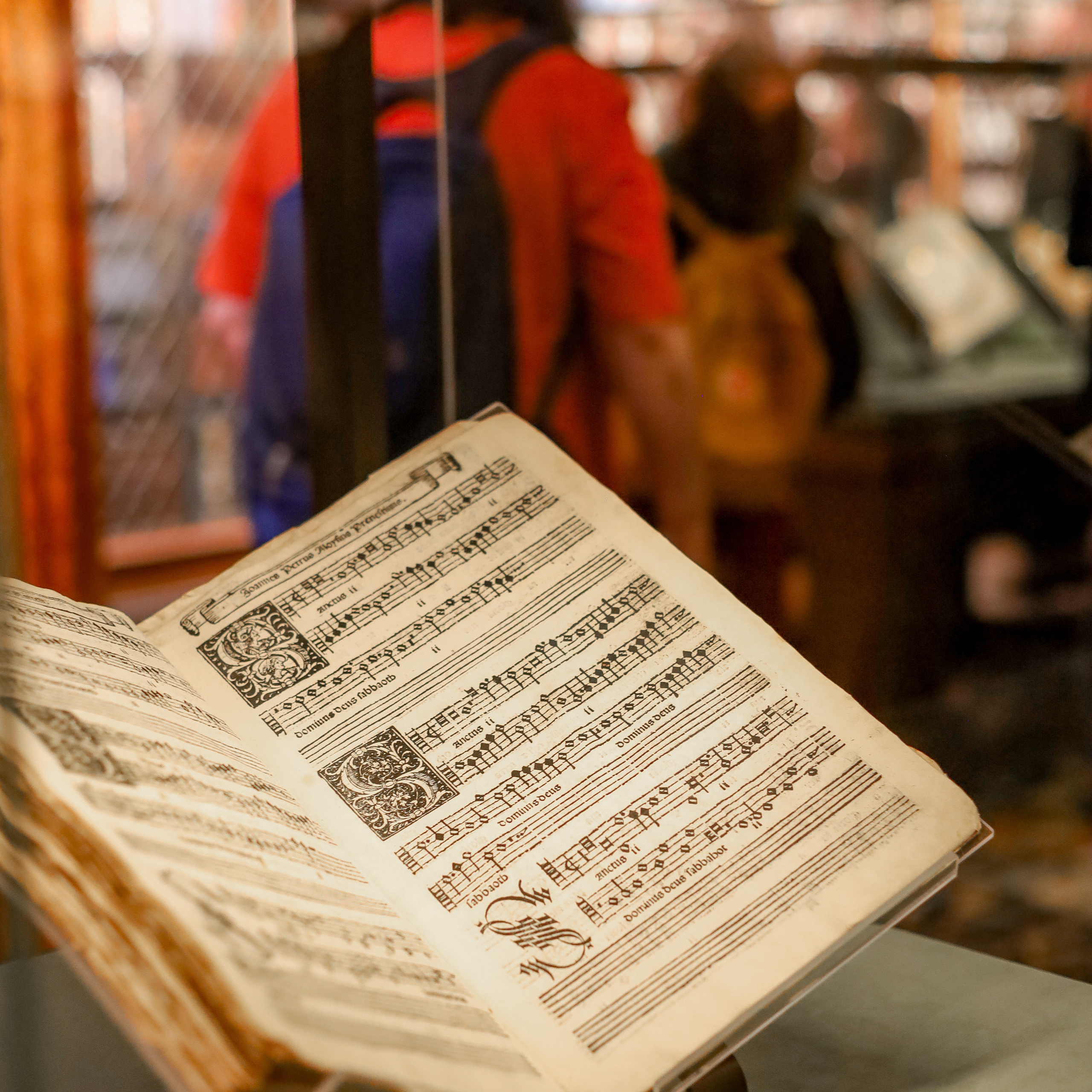 Client Reviews – NYC Photo Sessions. Sasha Amelie — Lifestyle Photographer NYC