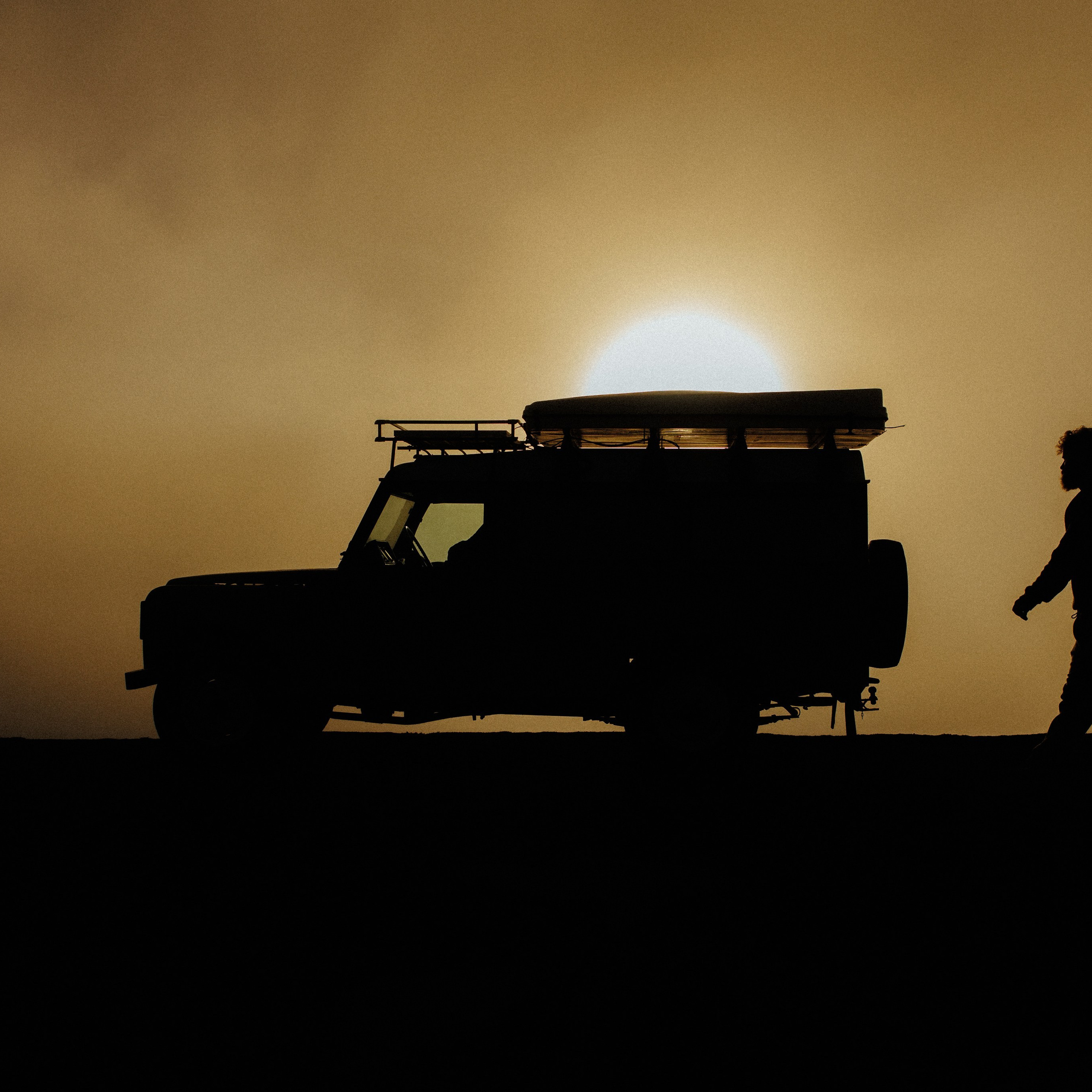 Lanzarote Turtles Van