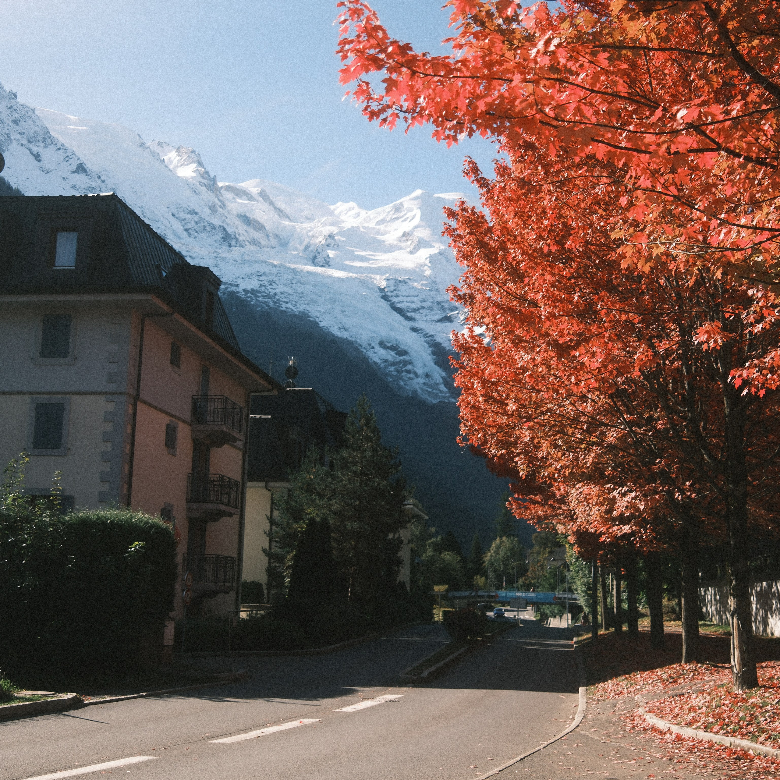 Ice Climbing Chamonix
