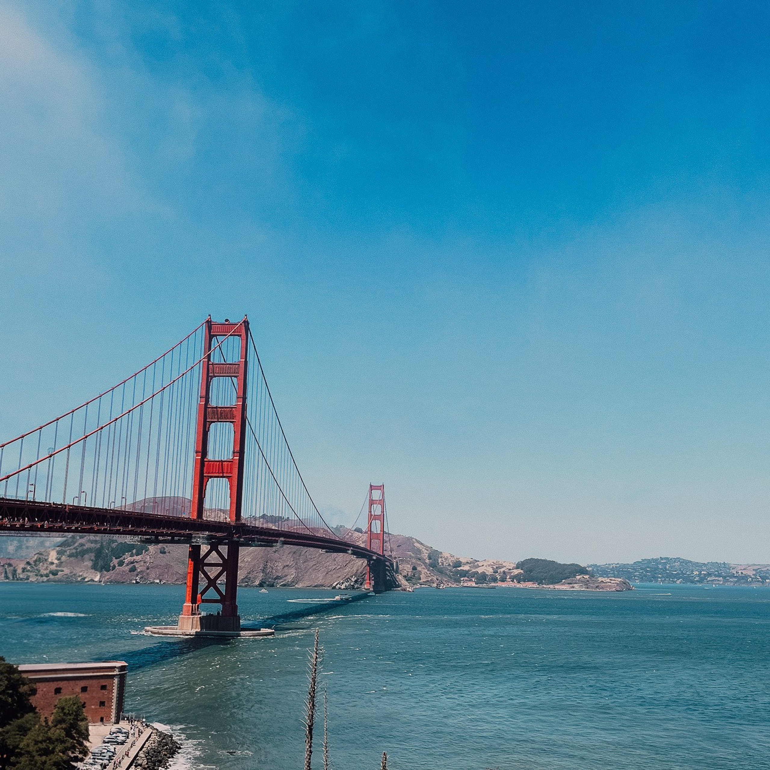 Rosy & Erik / San Francisco