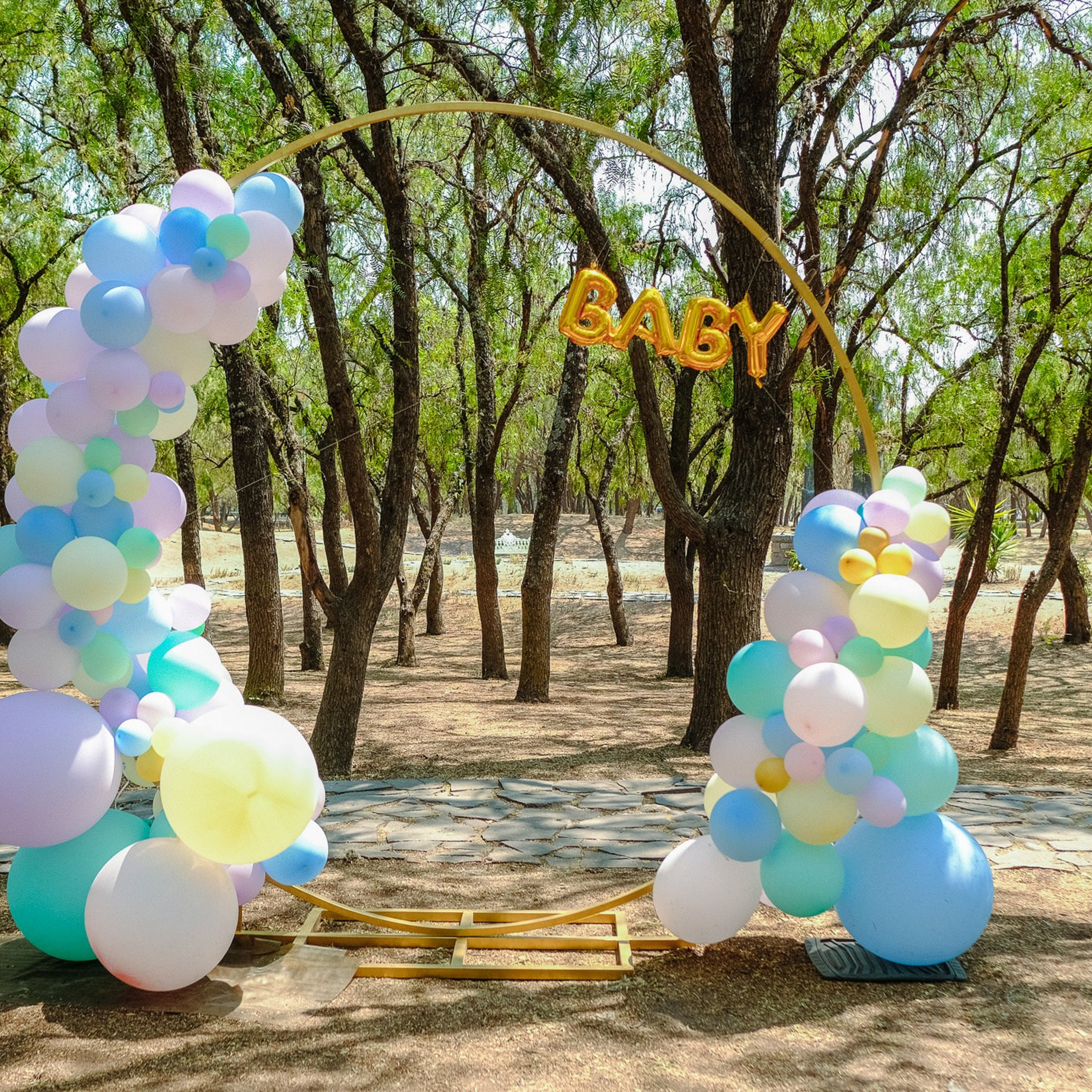 Gender Reveal Susy