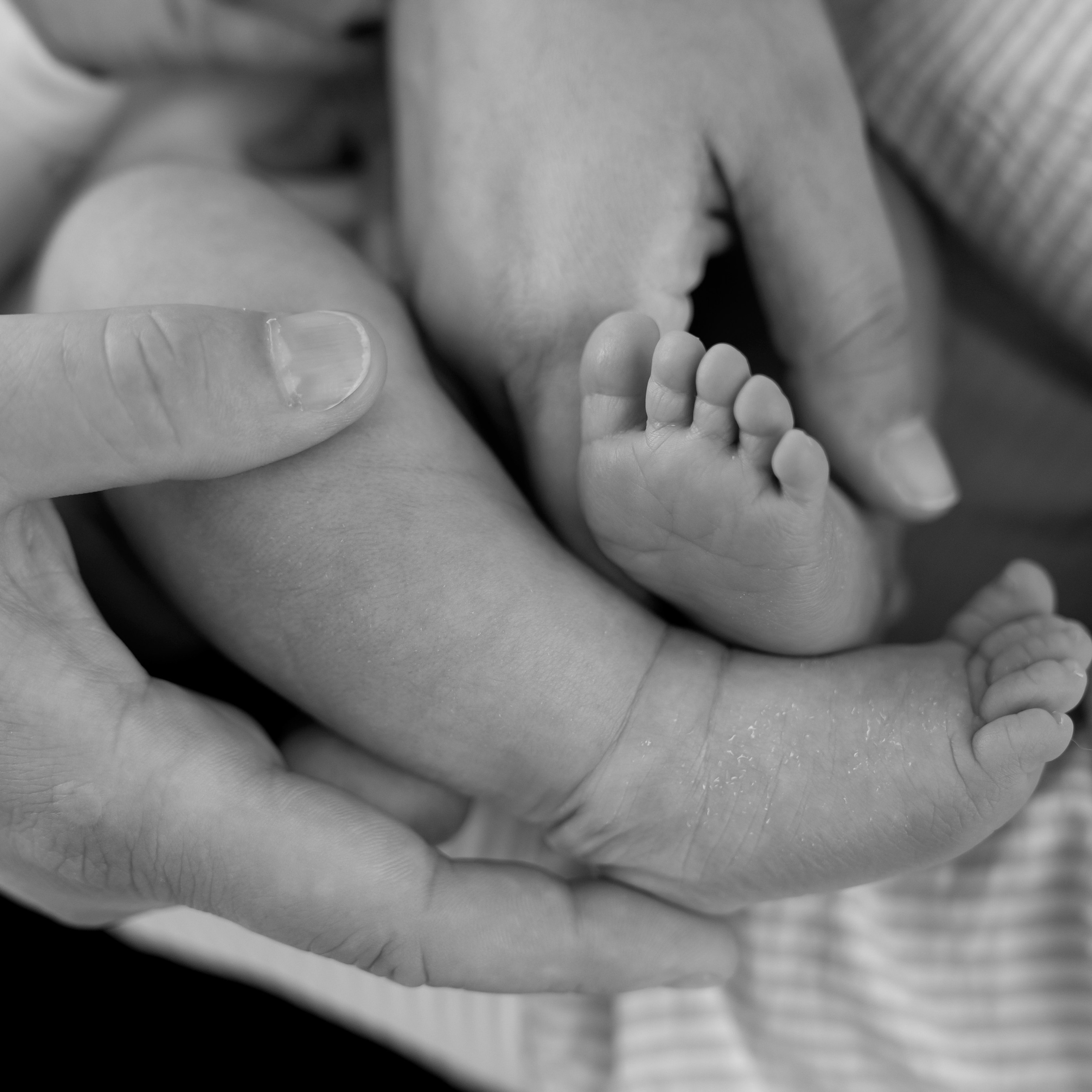 Fotografia | Videografia | Eventos |