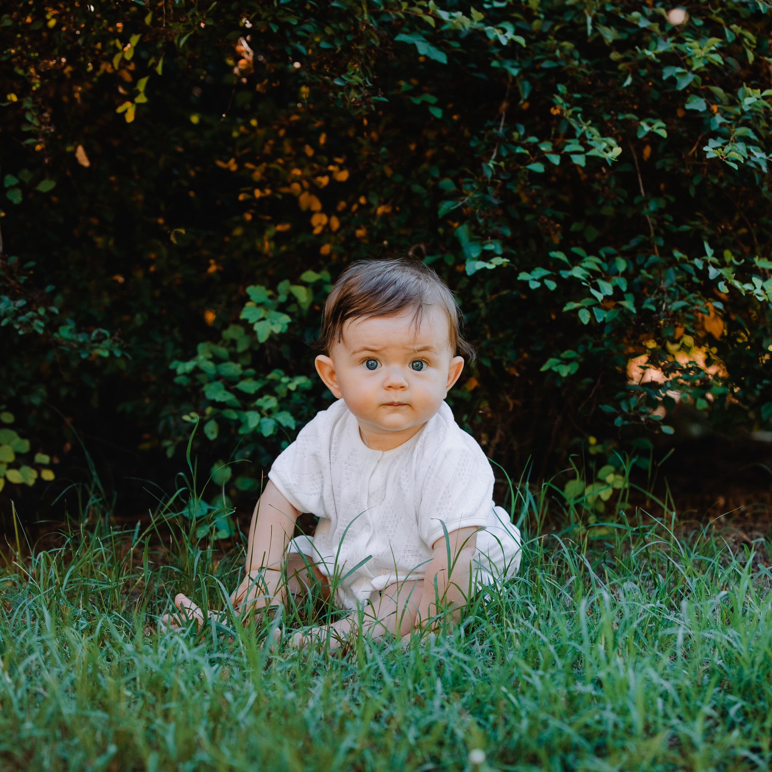 FEEDBACK. Fotograf și videograf de nuntă R. Moldova, Romania