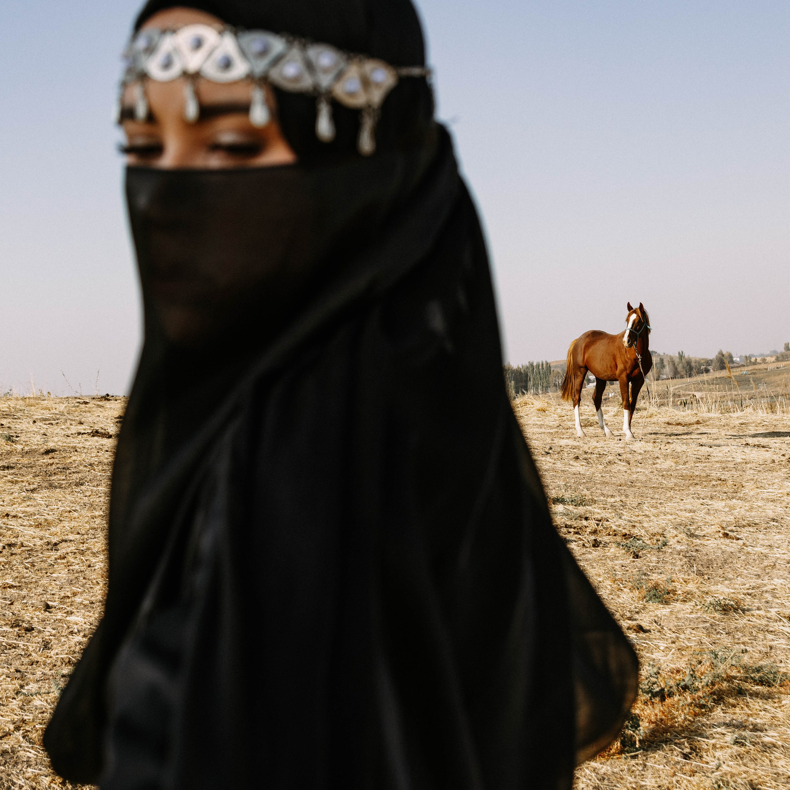 Свет и Тень