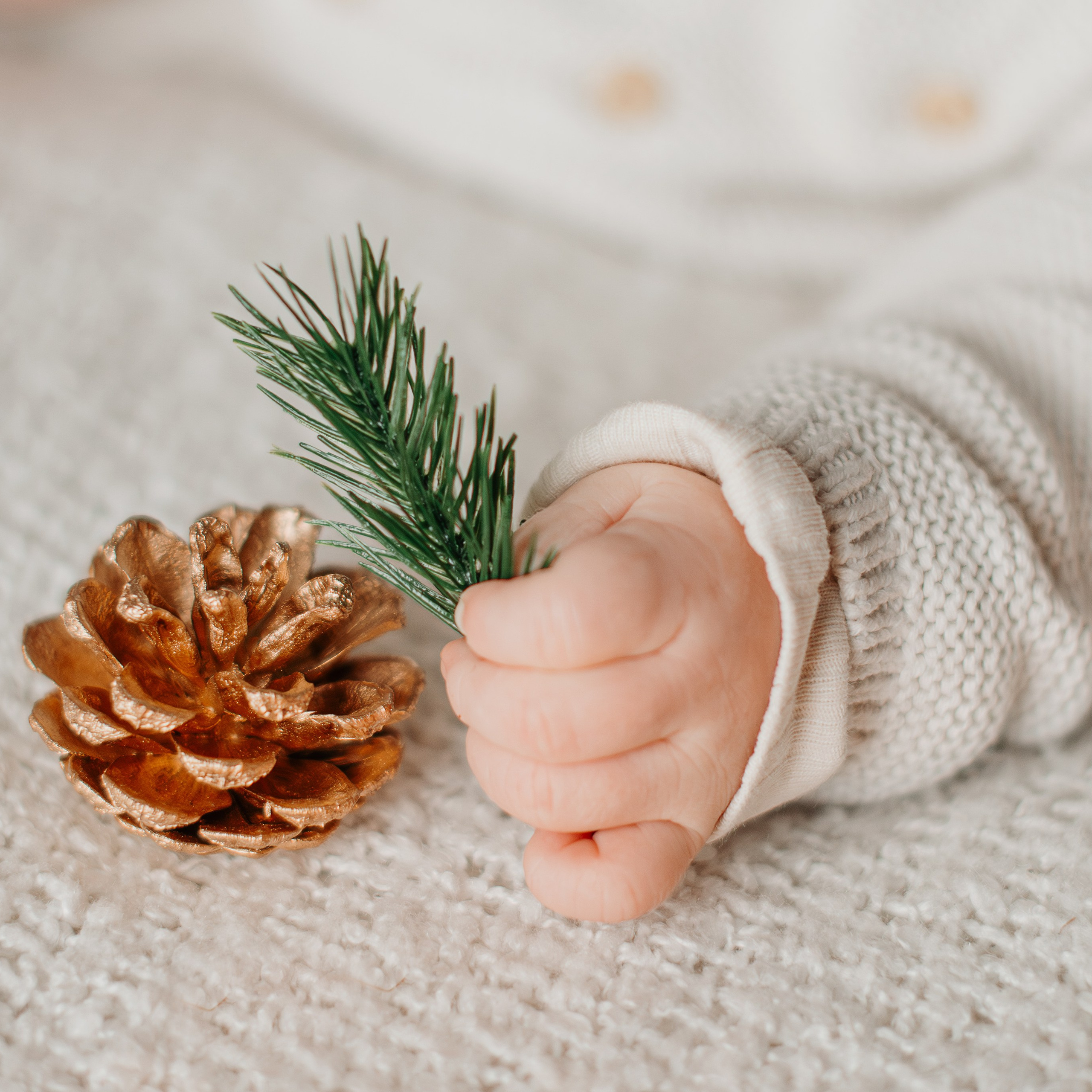Exemples de séances photo bébé & famille à Toulouse — Evolution. Evolution — projet photo du premier an de bébé à Toulouse