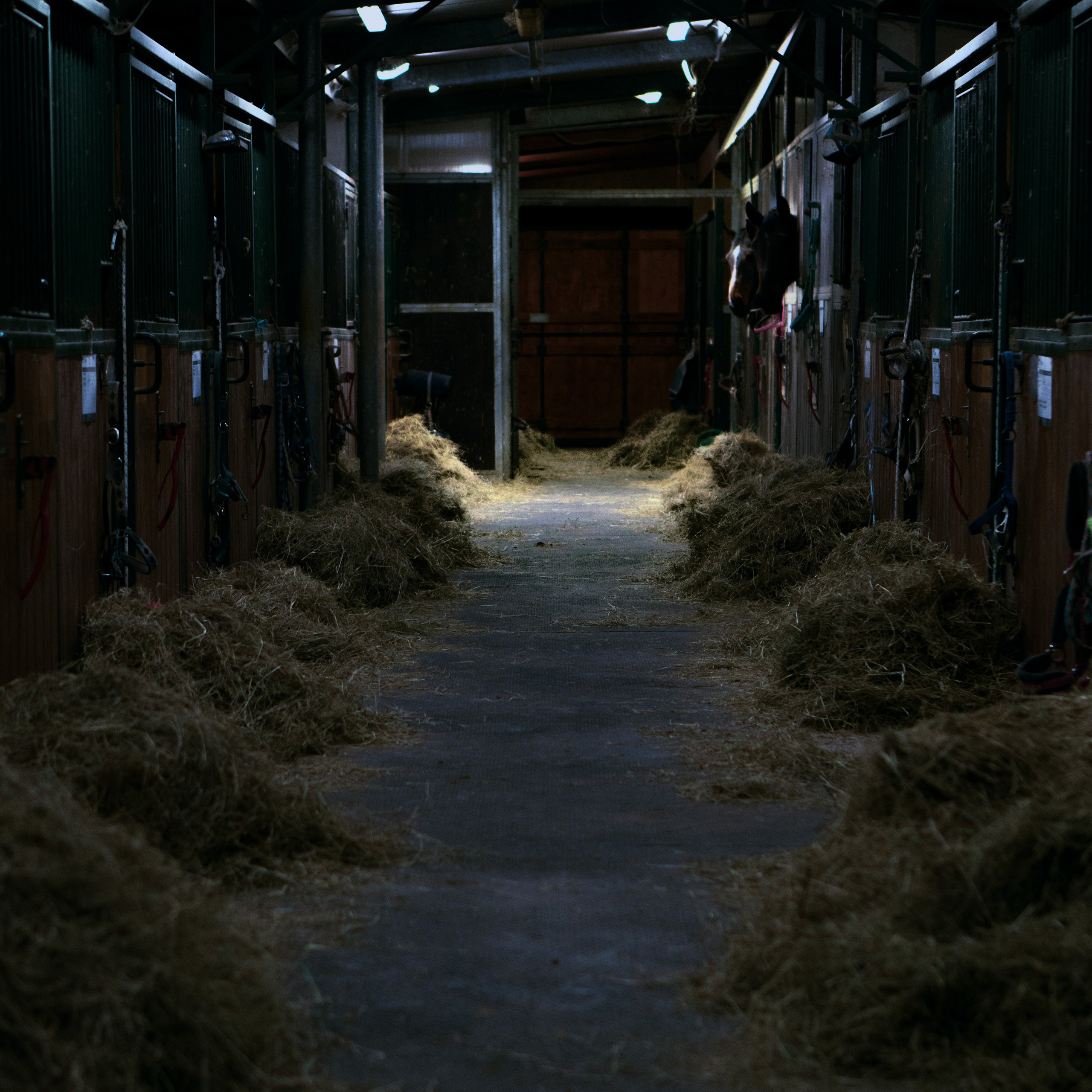 Make a statement. Aura Studio / co-design space