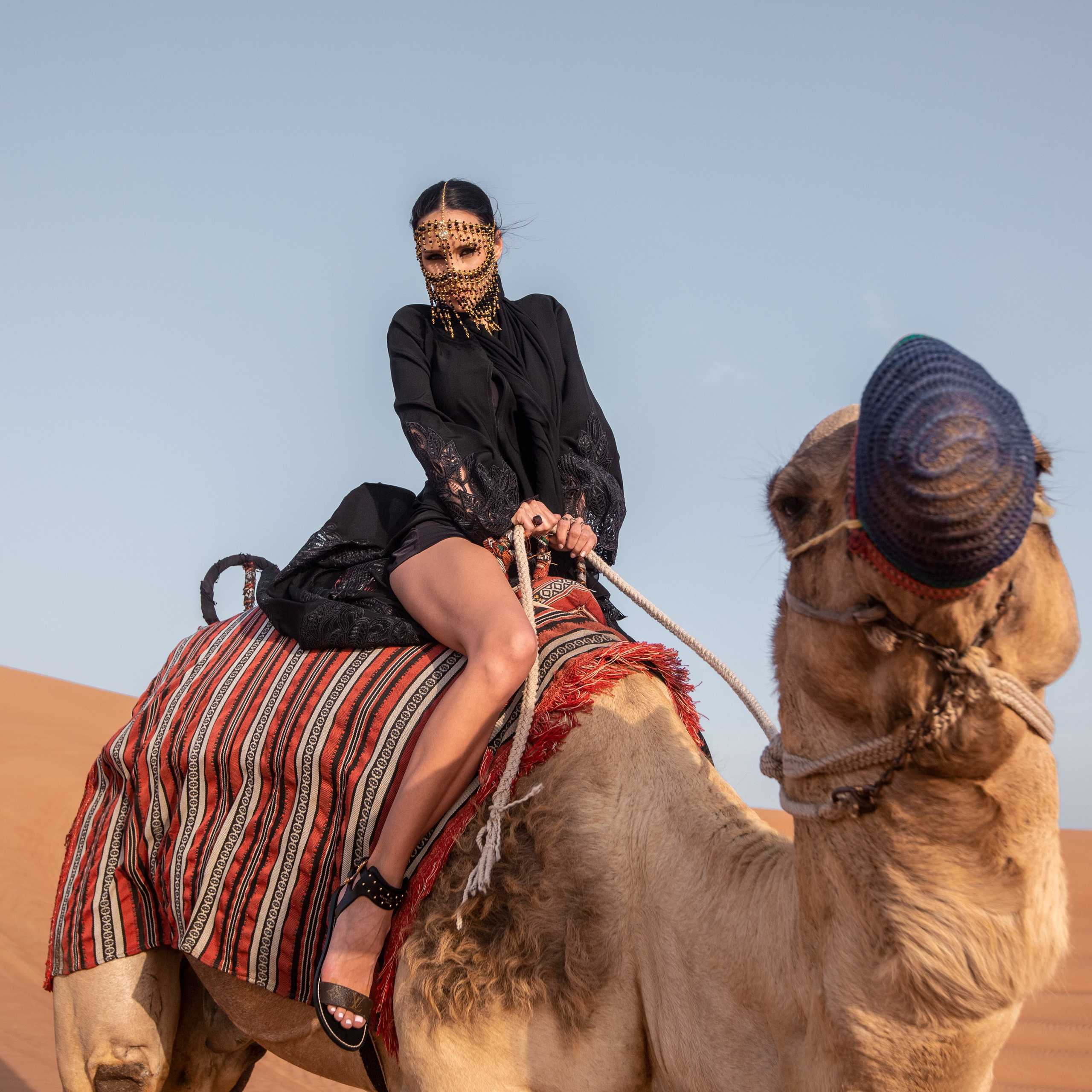 with horses and camels