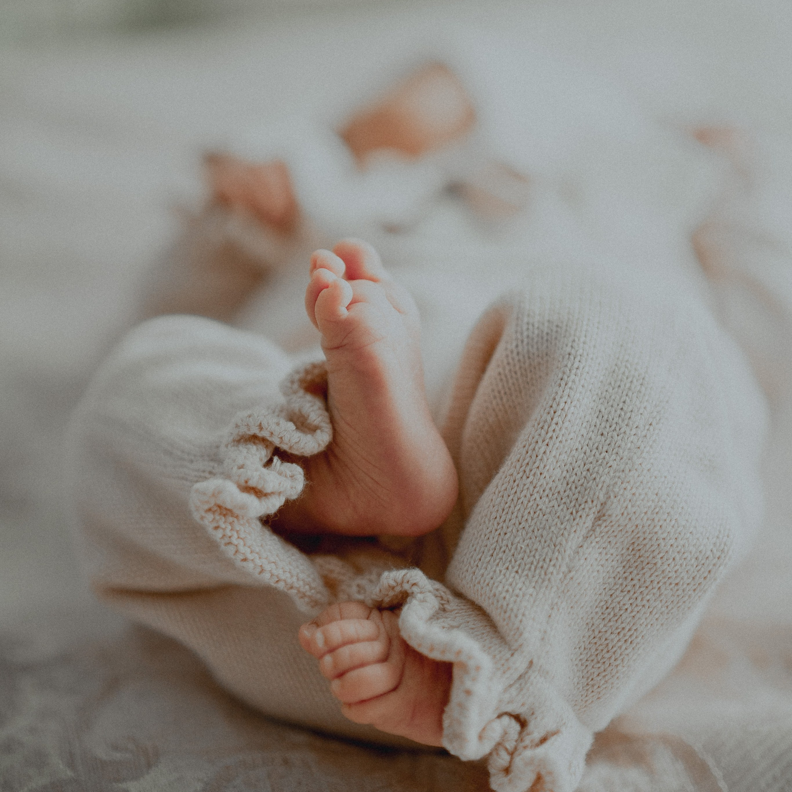 Фотограф в Ташкенте Самур Алиев